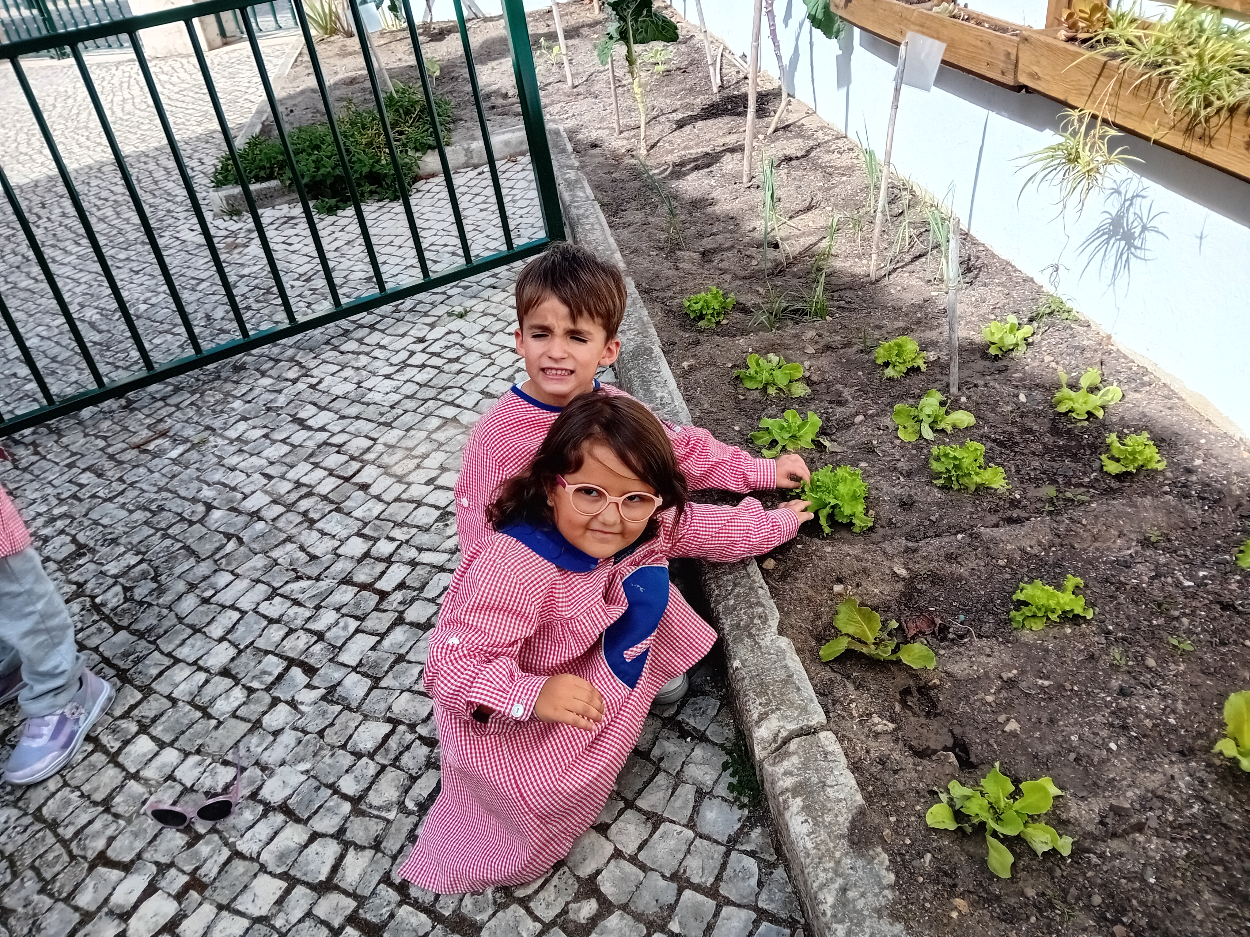 Sempre que achamos oportuno e que seja uma mais valia para as crianças, vamos até à horta, até porque ela precisa de ser regada! Aprendemos o nome dos legumes, a sua importância, como cuidar da terra, fazemos contagens…