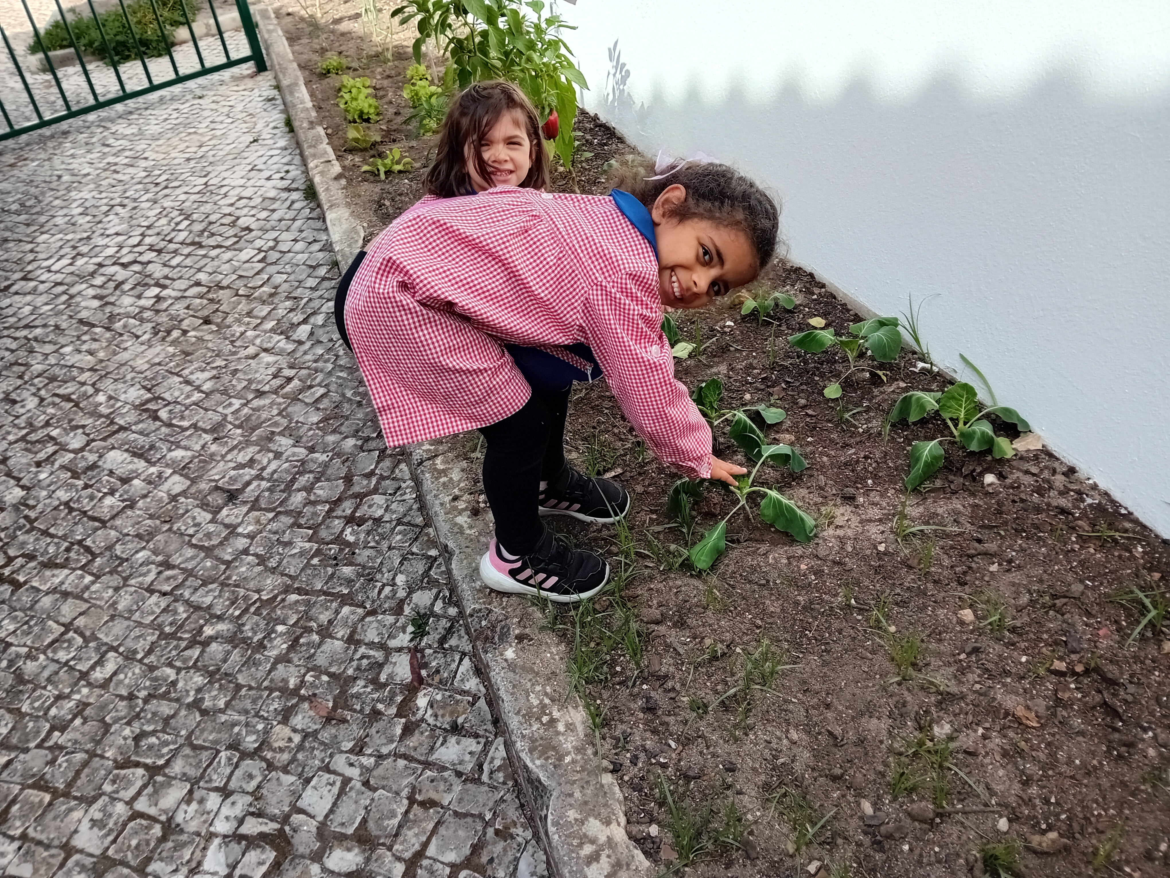 As crianças tratam da horta, sempre com a orientação da educadora. Concorremos ao concurso Super Horta, onde registamos como tratamos da horta, o que produzimos e para que finalidade.