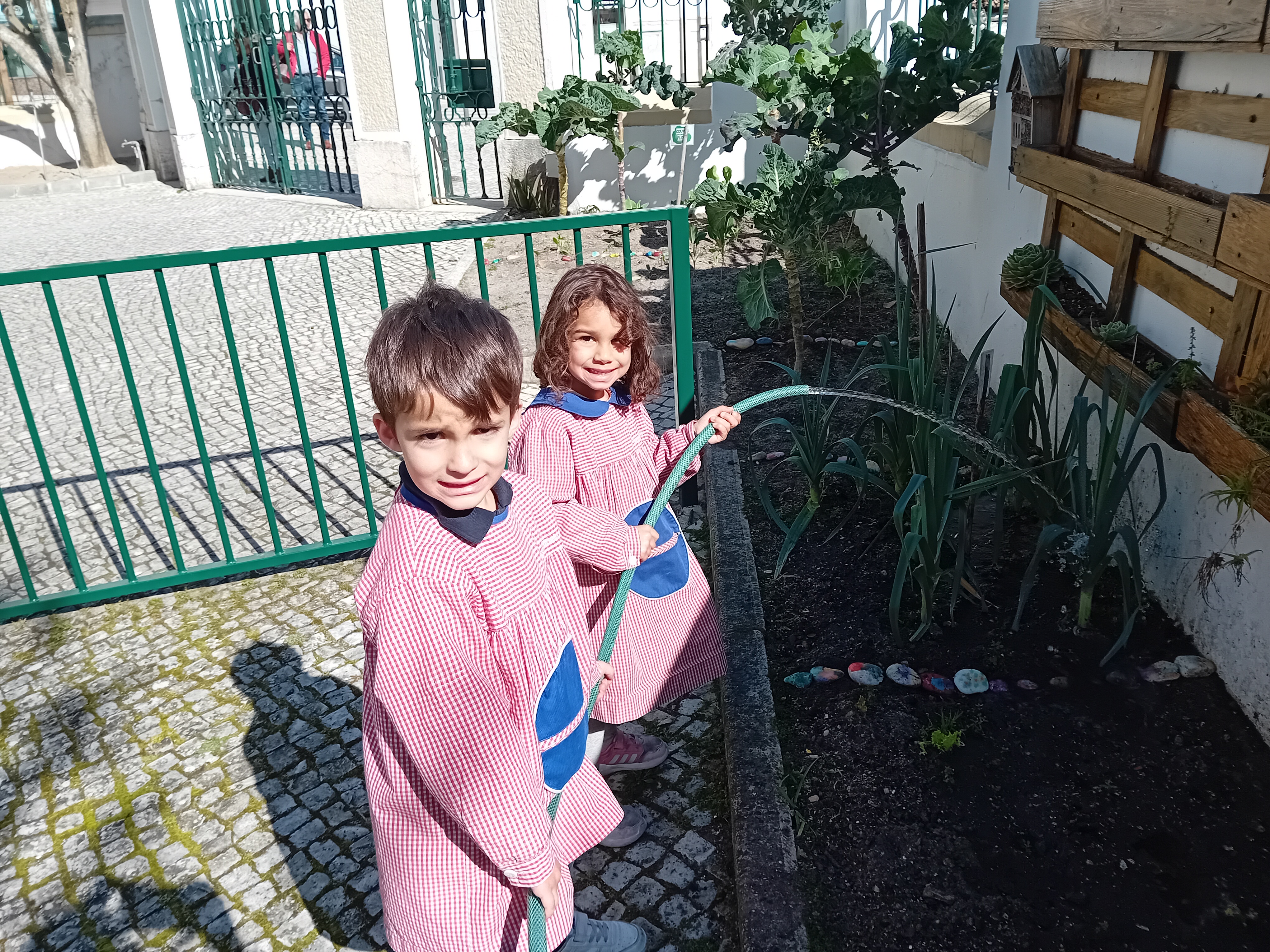 Alunos a regar a nossa horta.