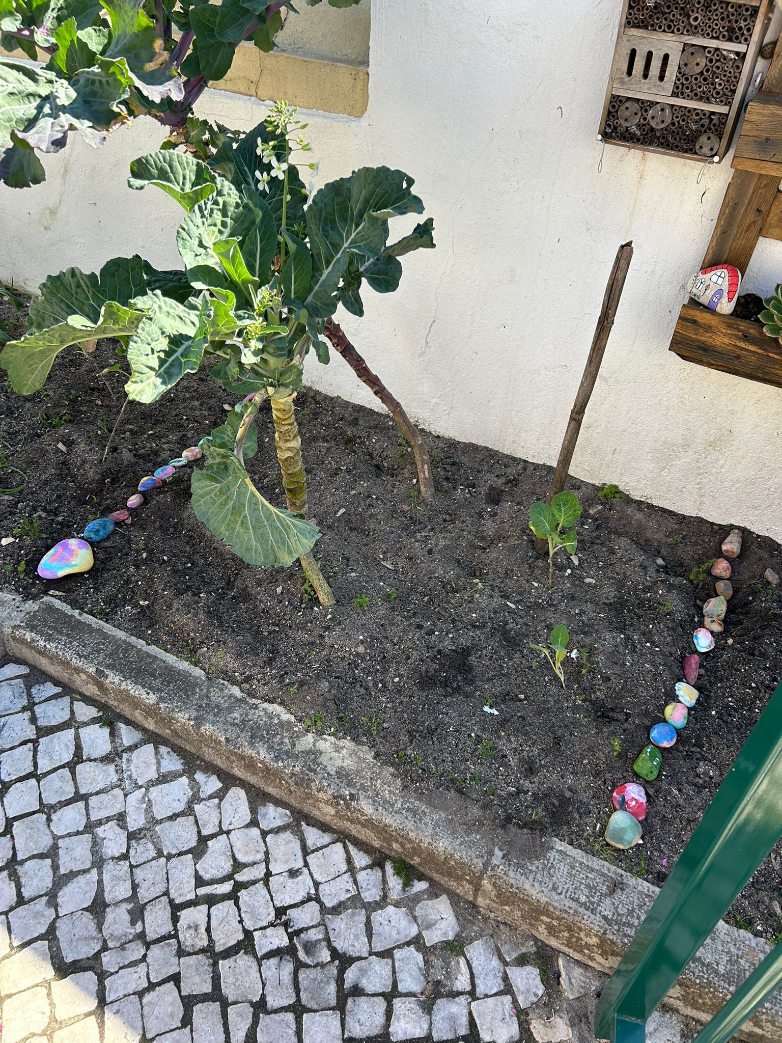 A nossa horta finalizada.