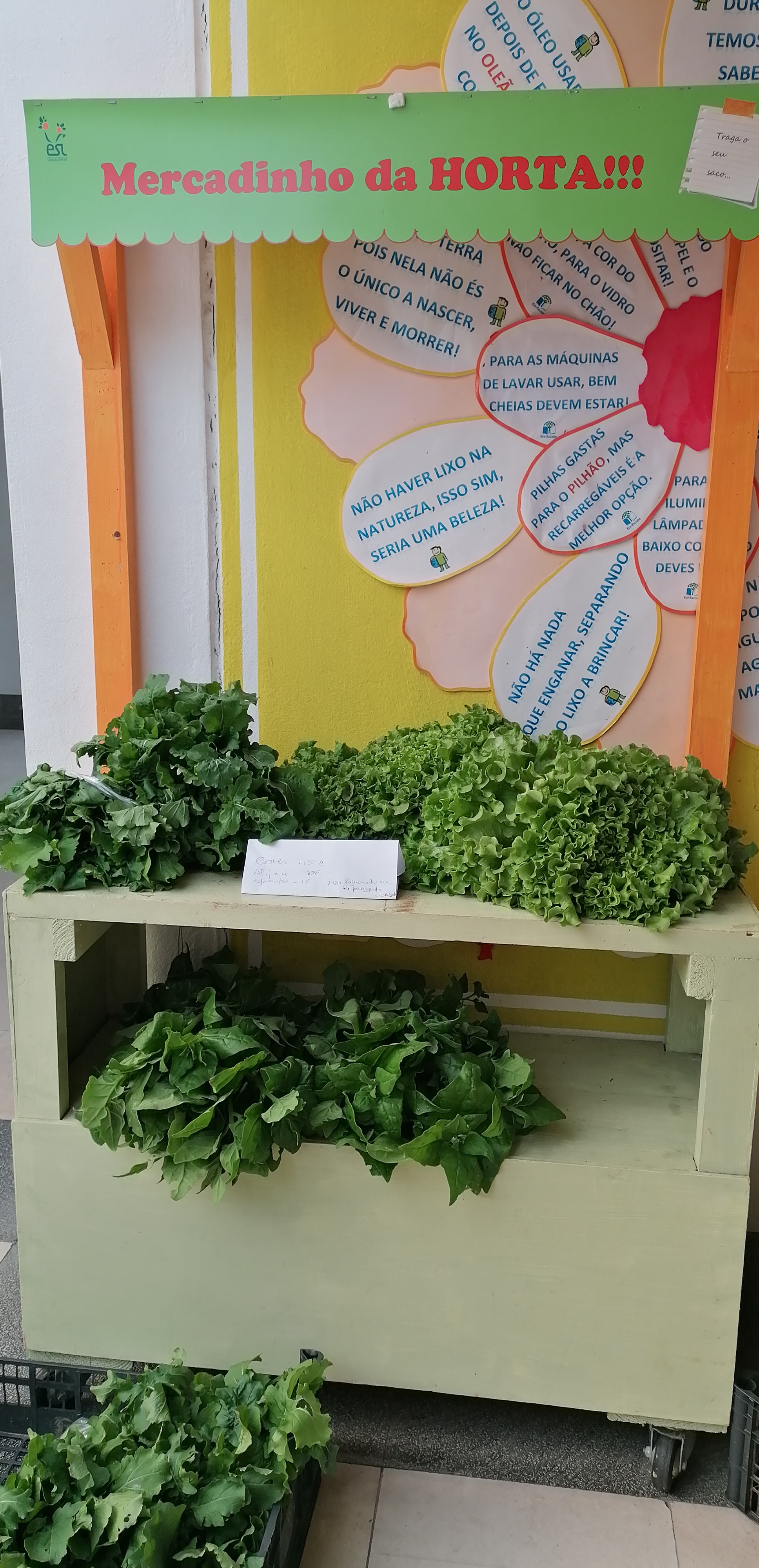 Exposição de produtos colhidos