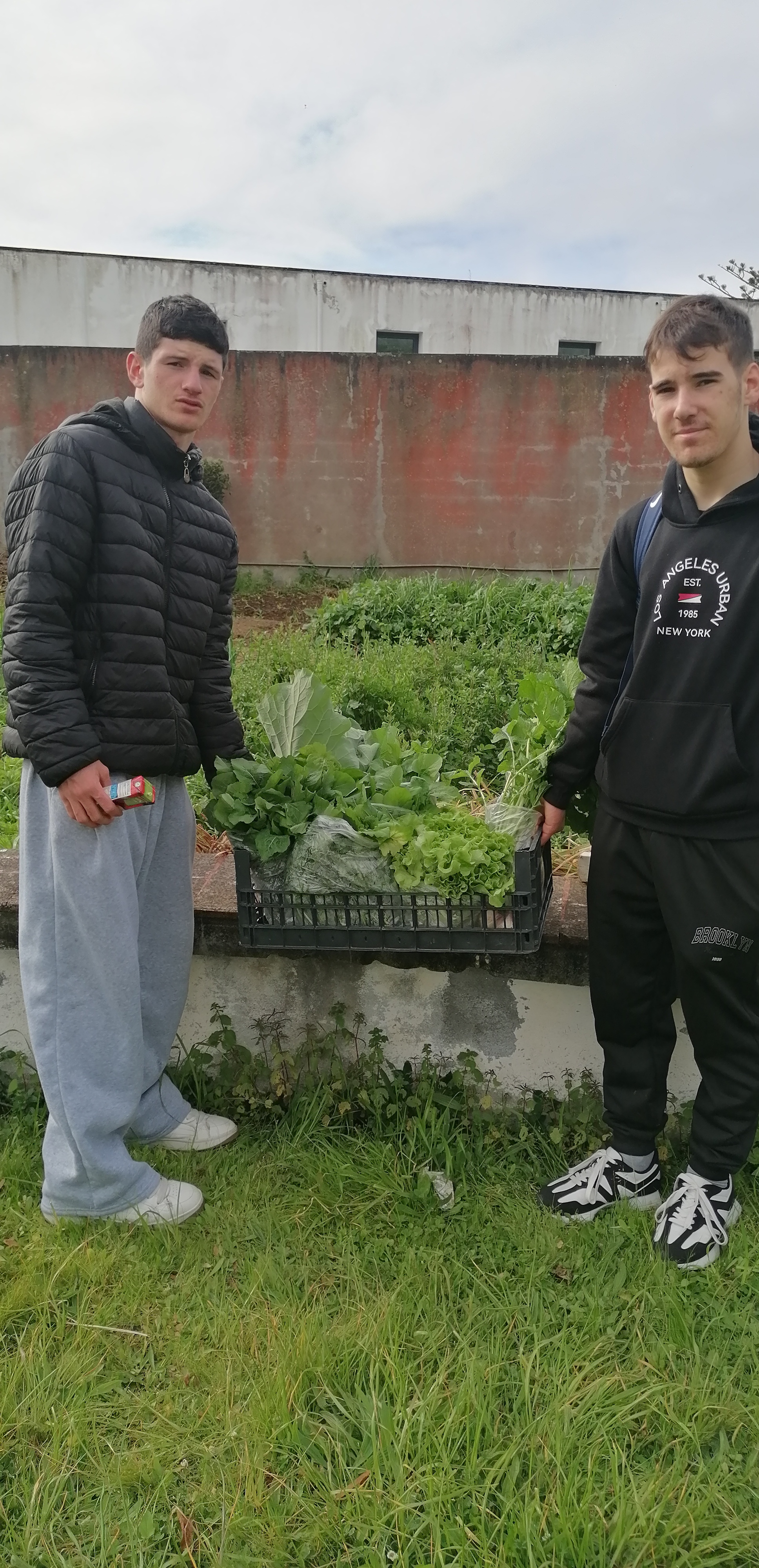 Prontos para a exposição