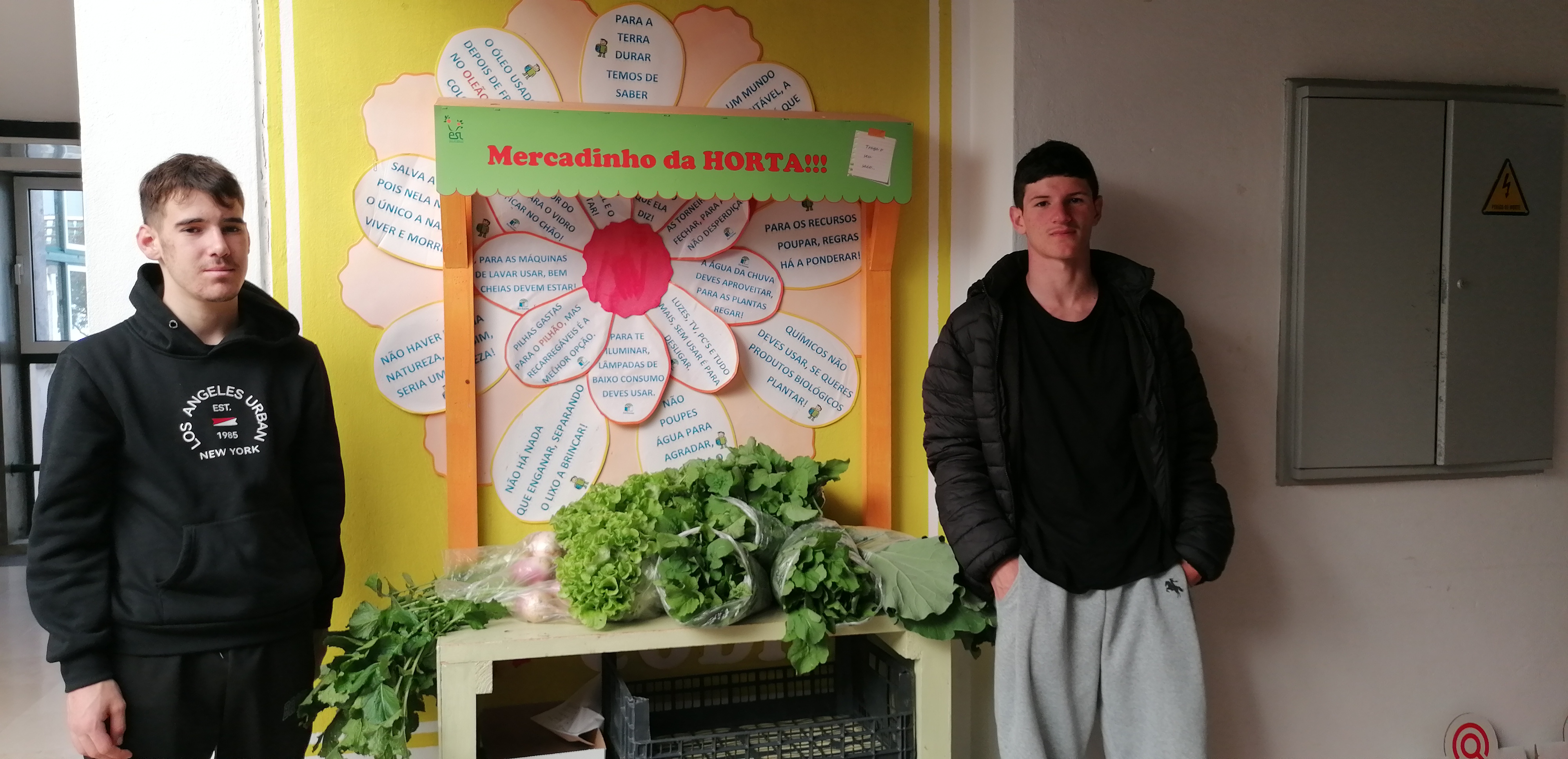 Exposição de produtos no kiosque.