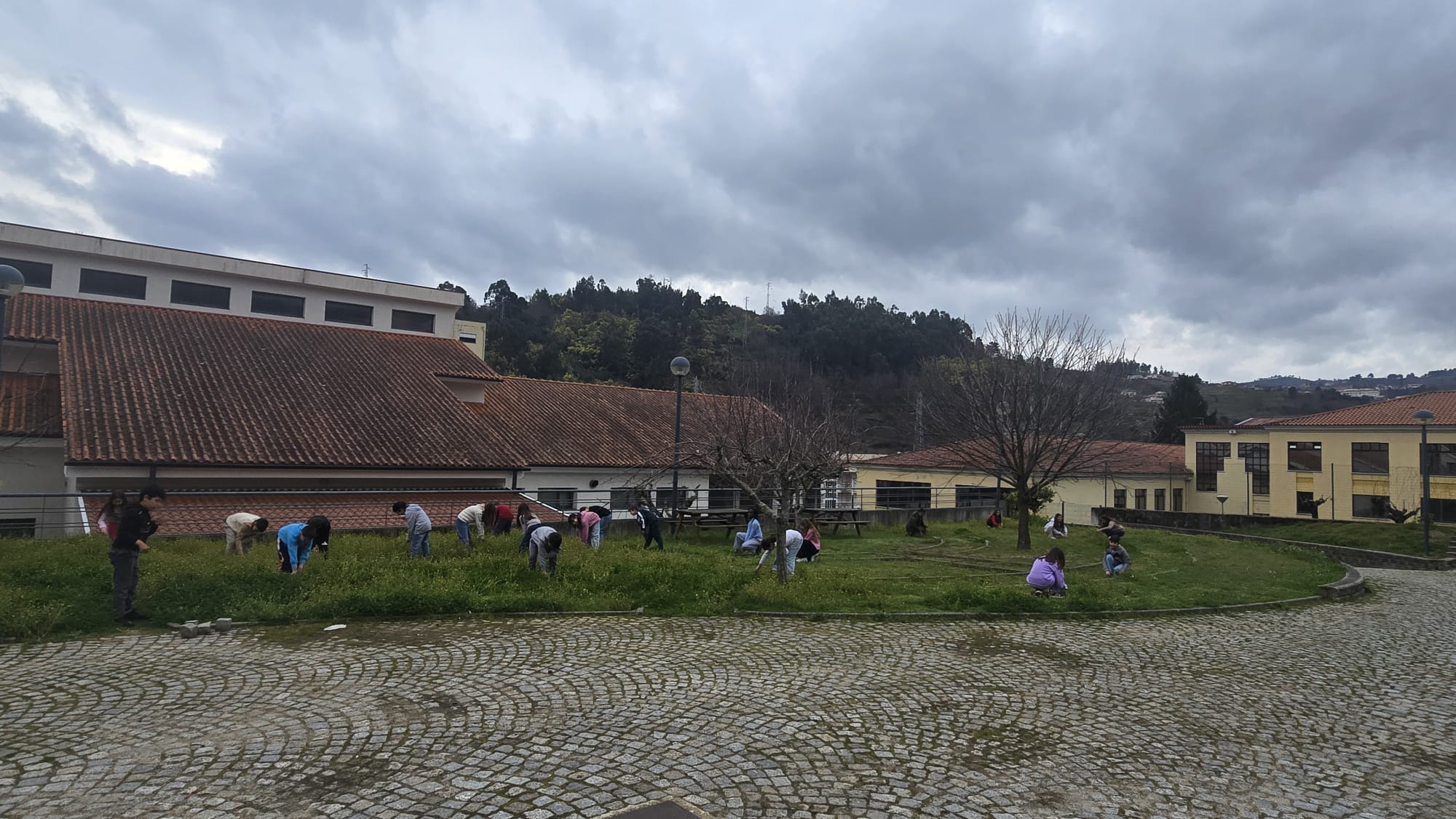 Seleção de zonas da horta para a distribuição das culturas.