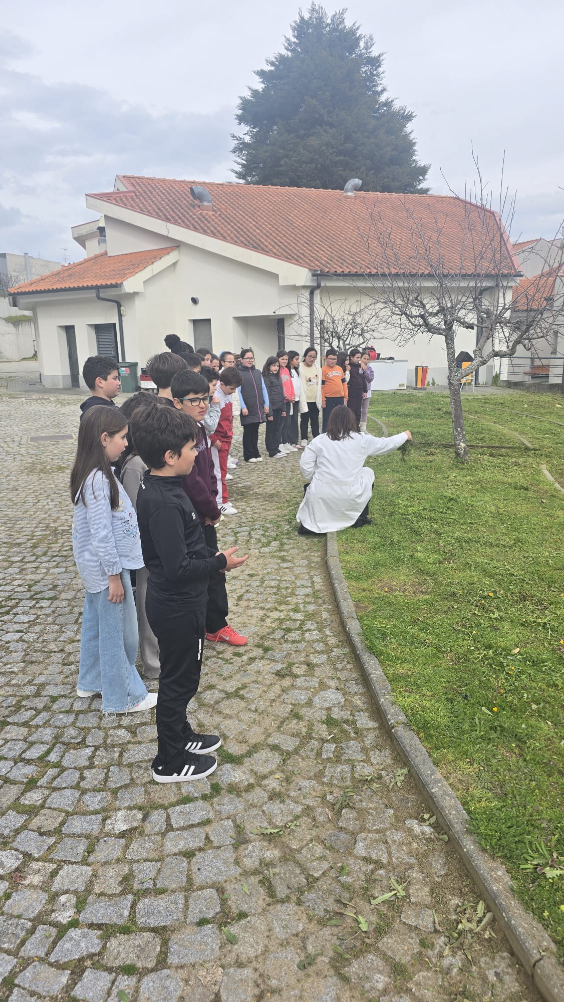 seleção de zonas da horta para a distribuição das culturas.