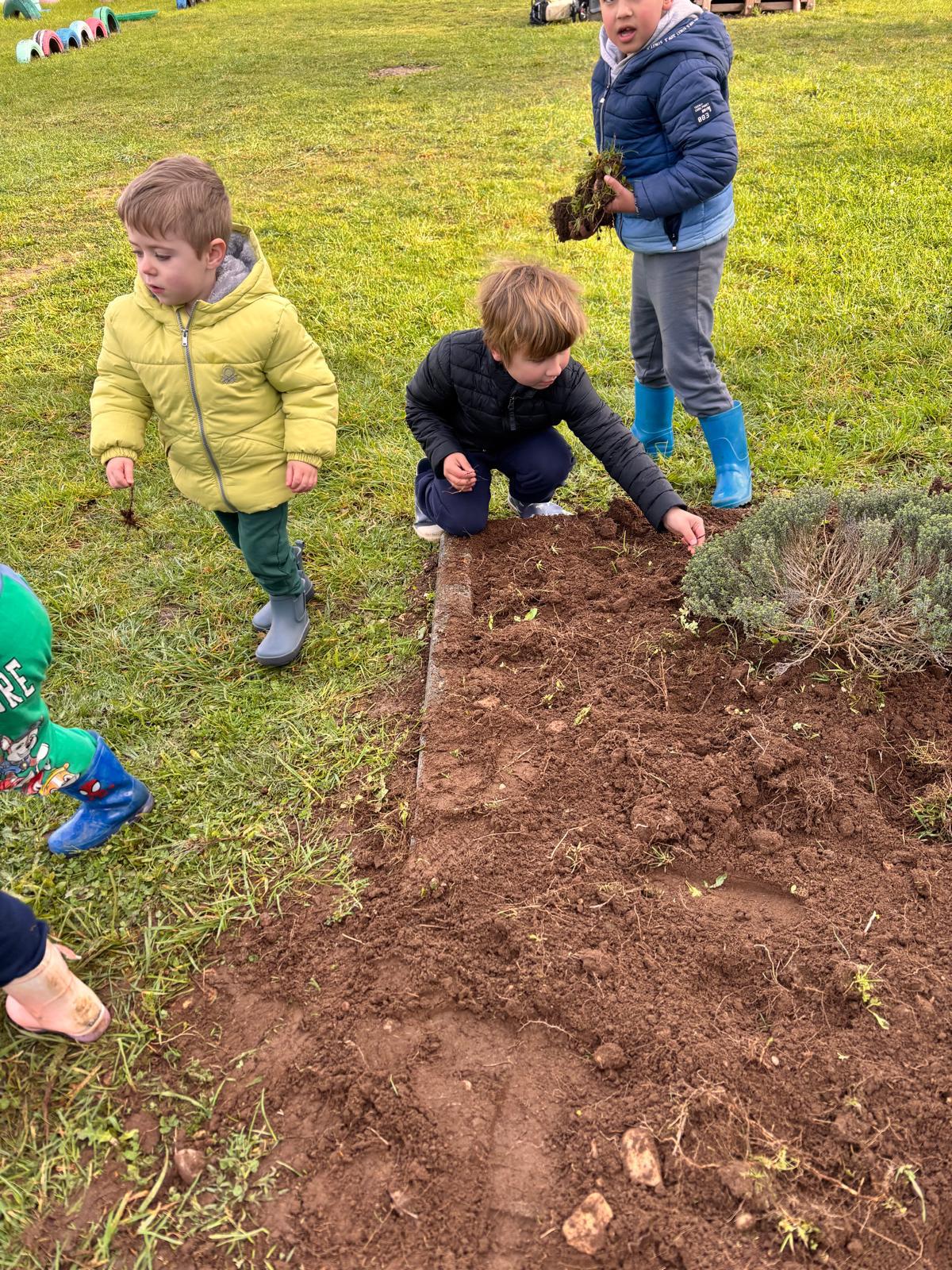 Preparação do solo
As crianças envolveram-se ativamente na preparação da terra para a sementeira, ajudando a limpar o solo e observando as suas características. Esta atividade promoveu o contacto direto com a natureza.
