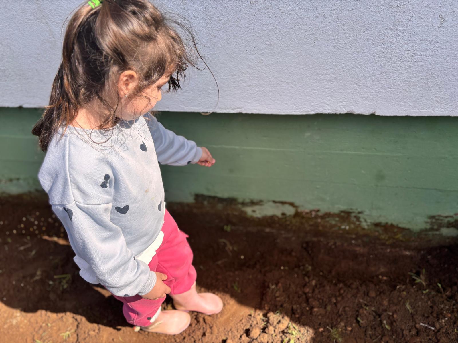Sementeira de feijão
Em grupo, as crianças realizaram a sementeira de feijões, colocando as sementes na terra com cuidado e entusiasmo. Esta experiência permitiu compreender o ciclo de crescimento das plantas e a importância de cuidar da horta.
