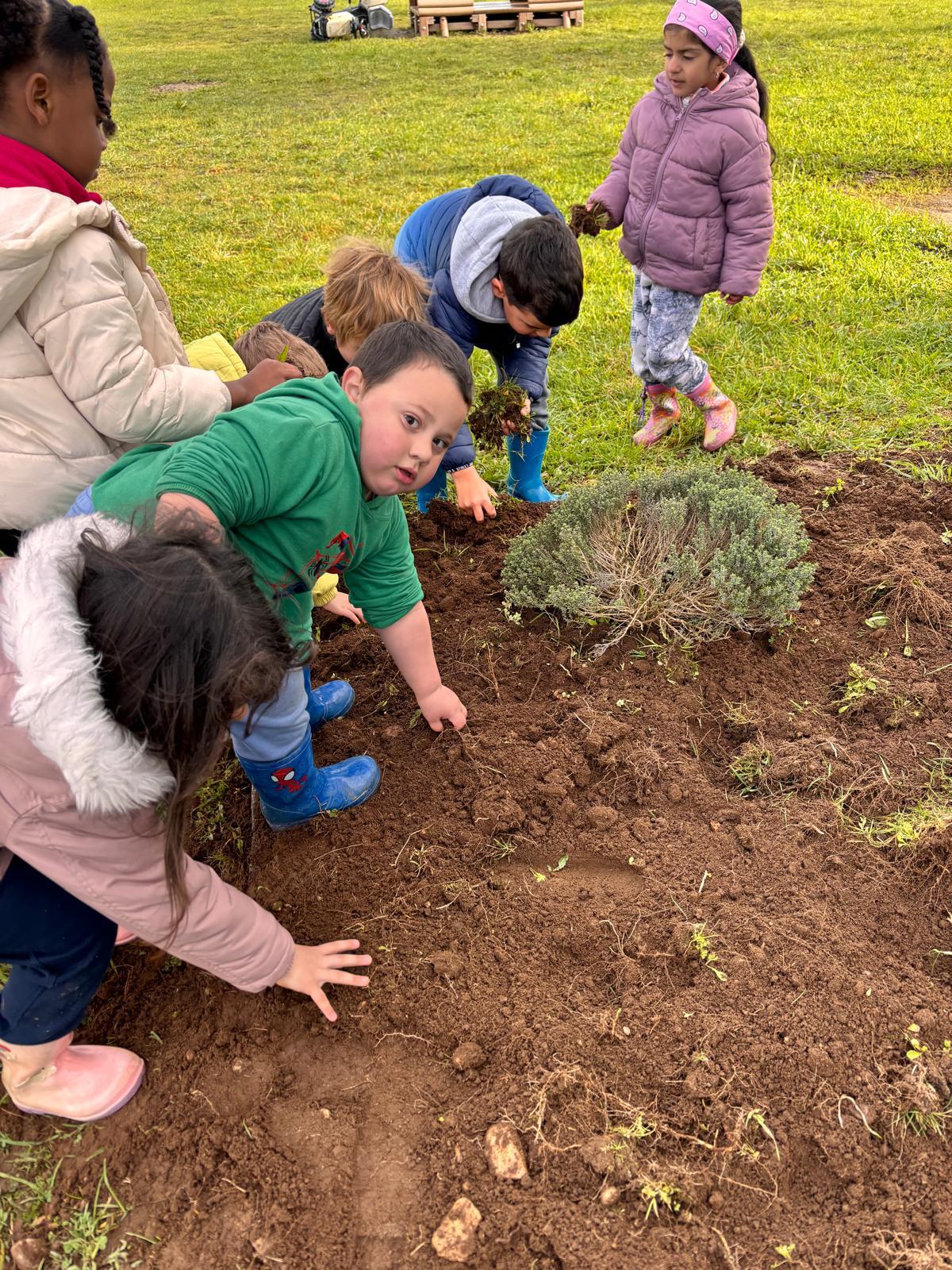 Limpeza e organização do terreno
As crianças colaboraram na limpeza do terreno da horta, removendo ervas e preparando o espaço para novas plantações. Esta atividade reforçou hábitos de cuidado e preservação do ambiente.