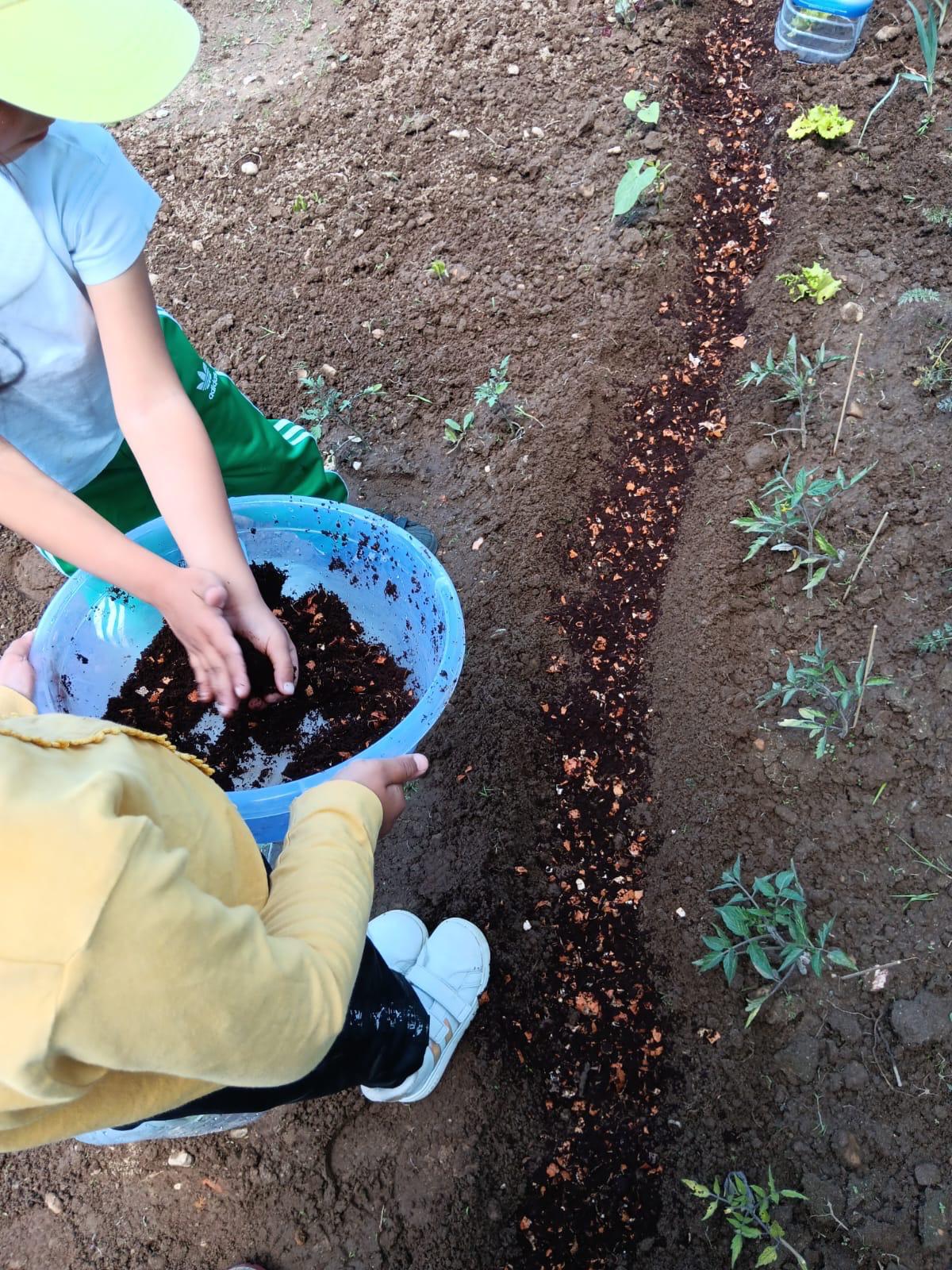 Preparação de adubo natural
As crianças participaram na preparação de adubo natural utilizando borras de café e cascas de ovos. A atividade permitiu explorar formas sustentáveis de enriquecer o solo e cuidar das plantas de forma ecológica.