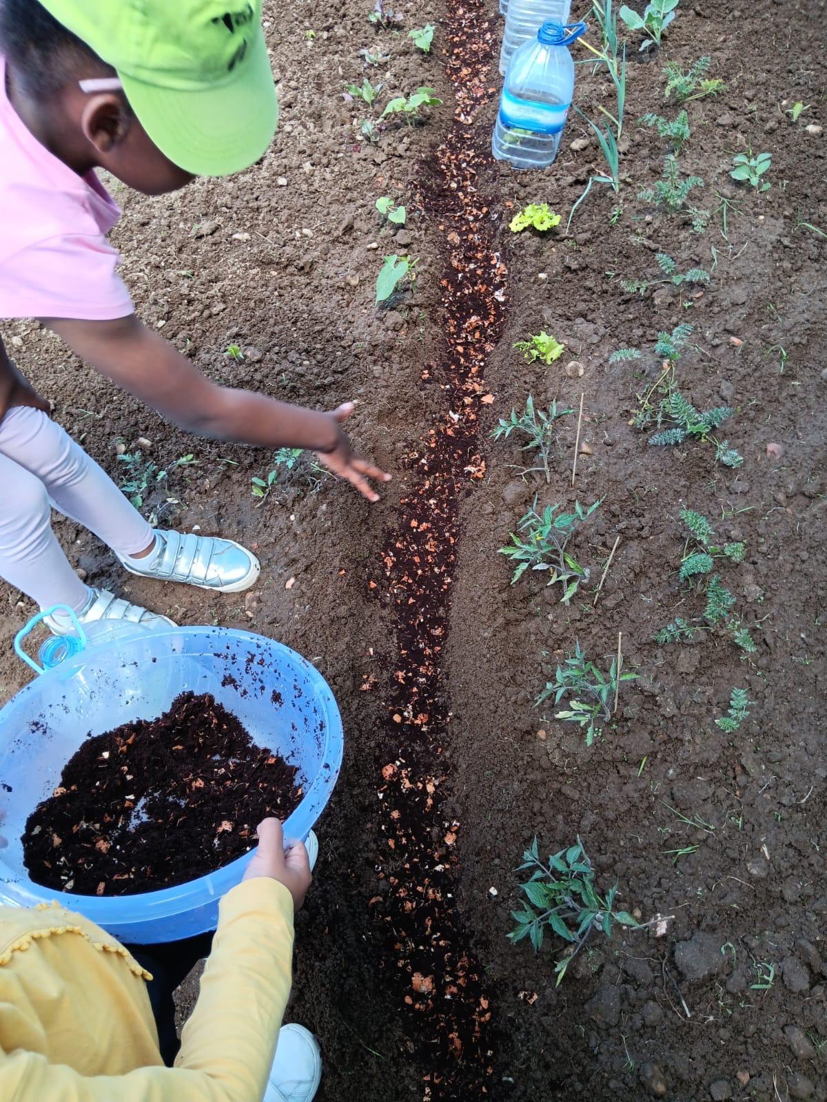 Utilização de fertilizante natural na horta
O grupo distribuiu adubo natural nos canteiros da horta, aprendendo sobre a importância dos nutrientes para o crescimento saudável das plantas e sobre práticas amigas do ambiente.