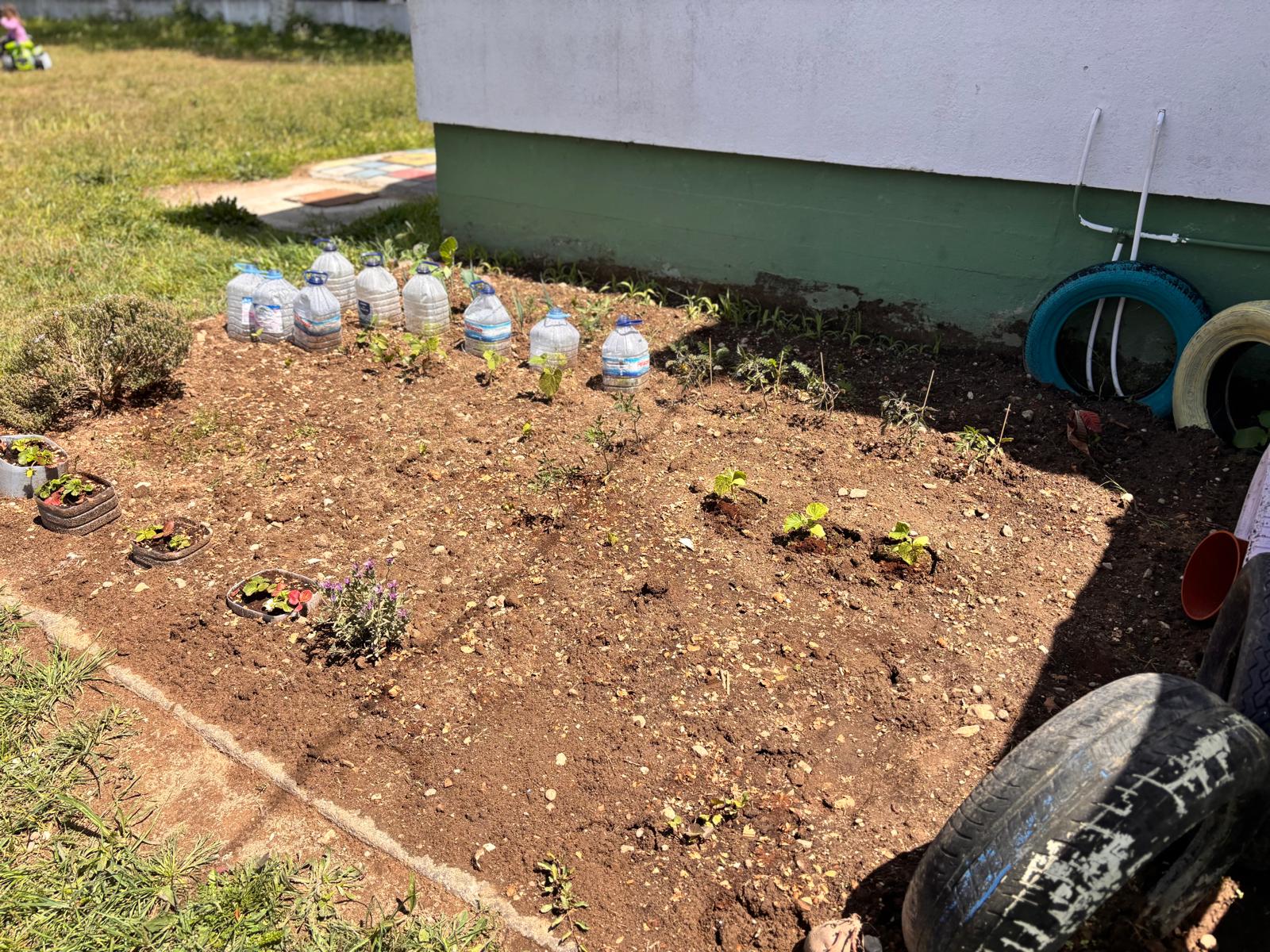 Vista geral da evolução da horta pedagógica
A horta pedagógica apresentou uma evolução significativa, com diversas culturas em crescimento, promovendo contacto com a natureza, responsabilidade e valorização do meio ambiente.