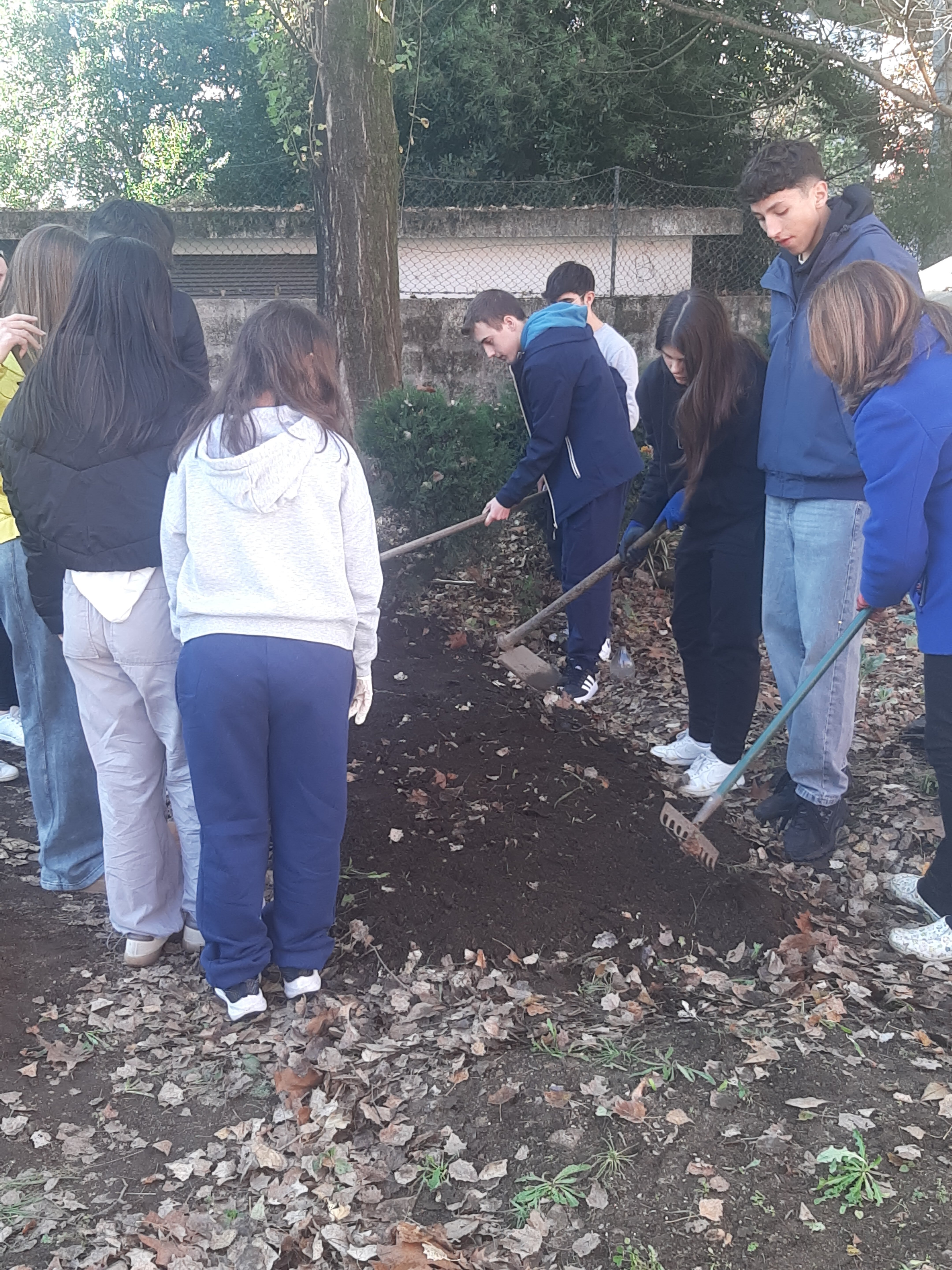 Preparação do solo para plantação de morangueiros.