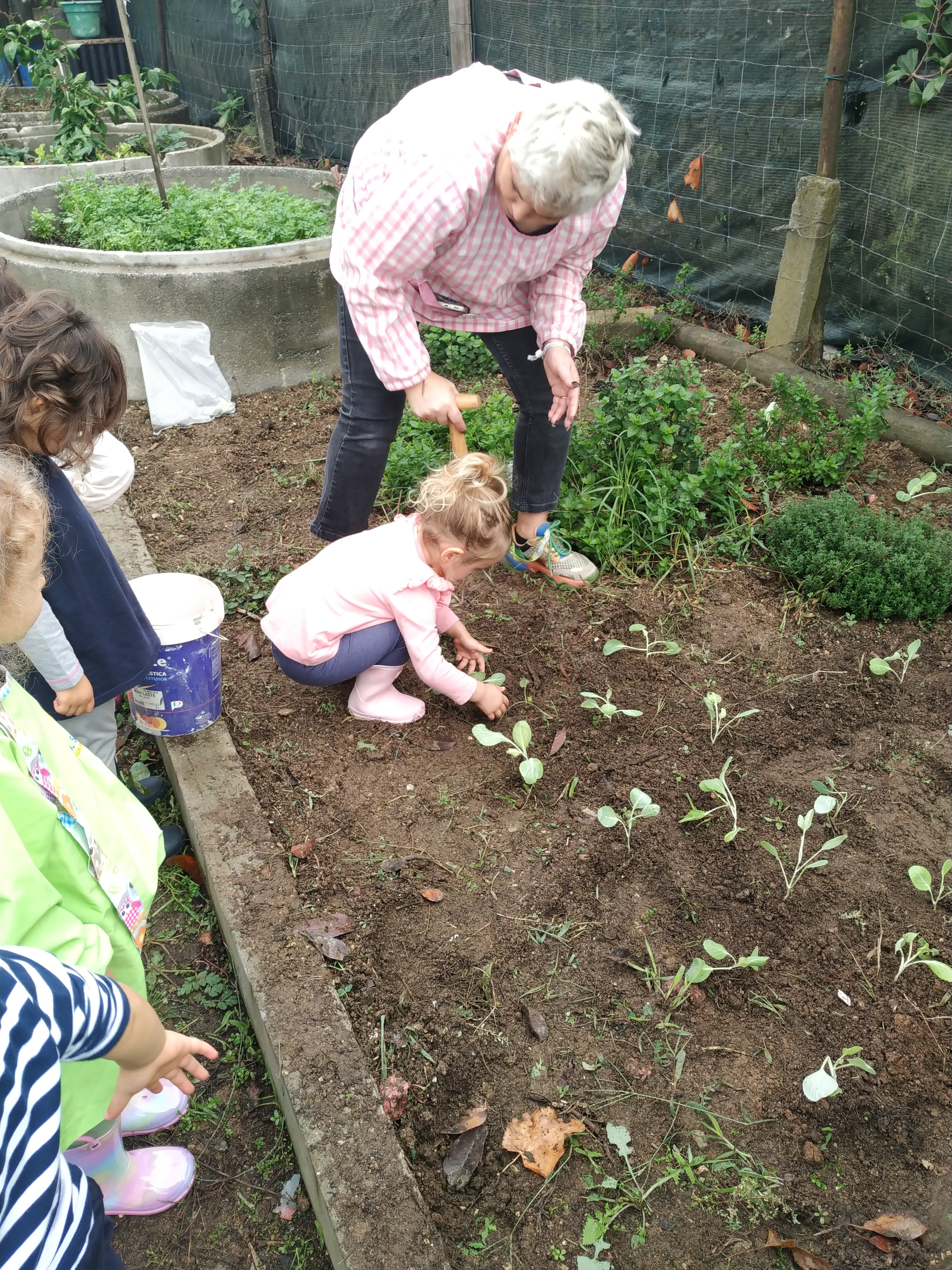 Participação da comunidade educativa na preparação da horta.