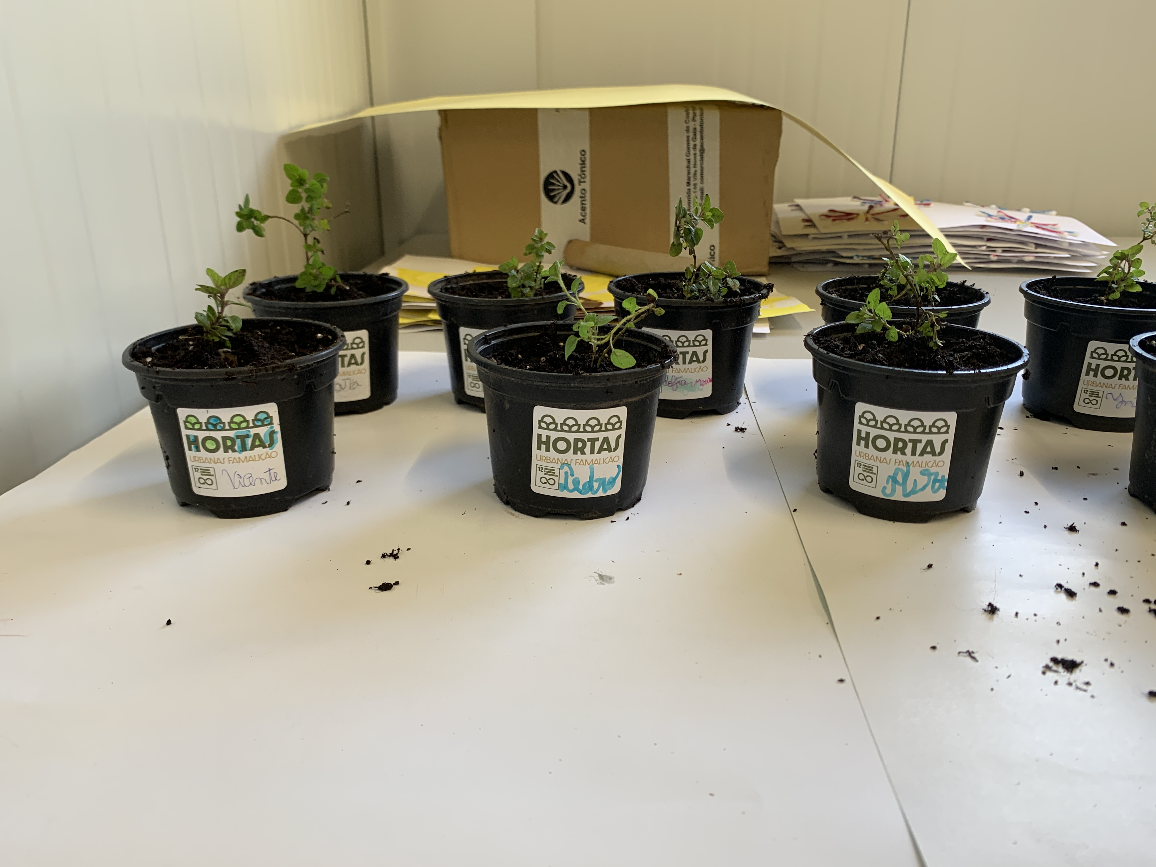 Colaboração do gabinete ambiental da Câmara Municipal de Vila Nova de Famalicão.