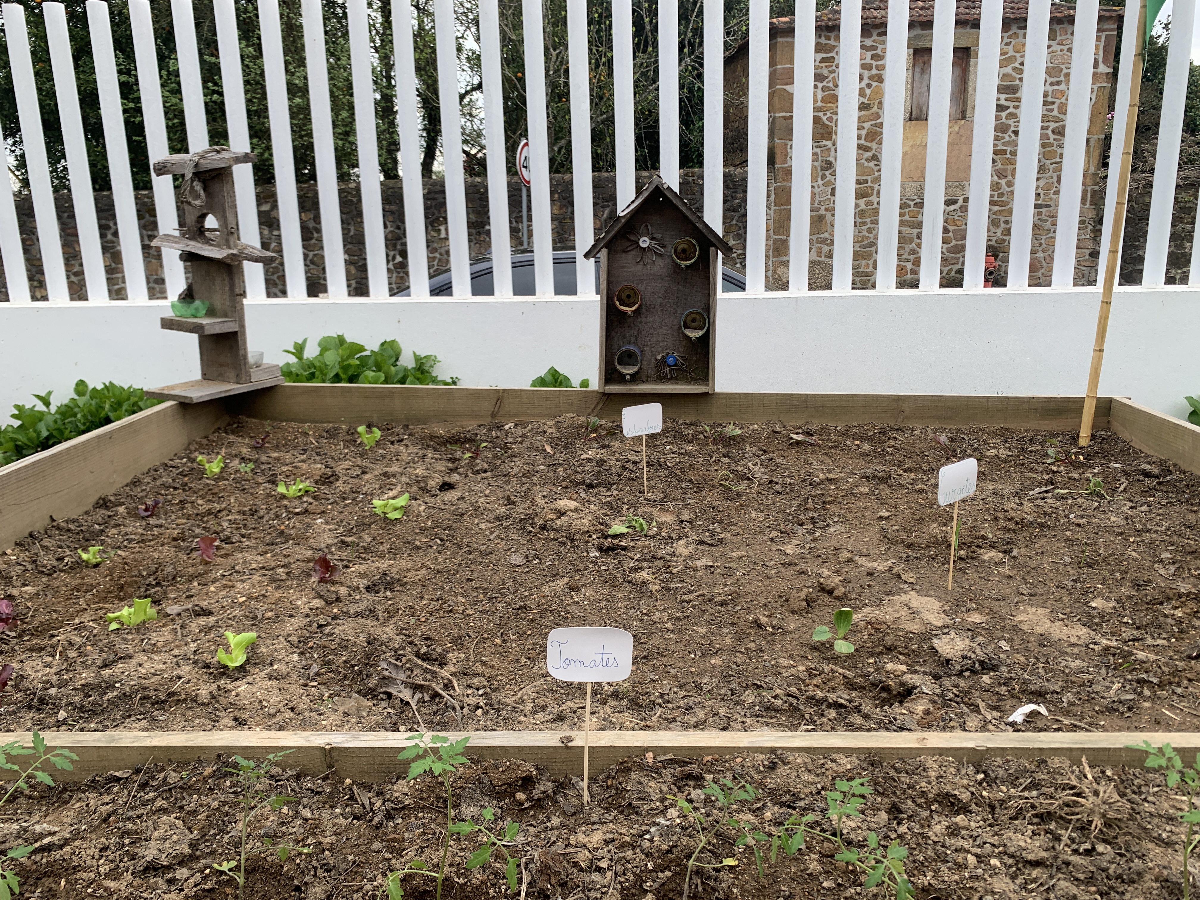 Colocação dos Hotéis para insetos.