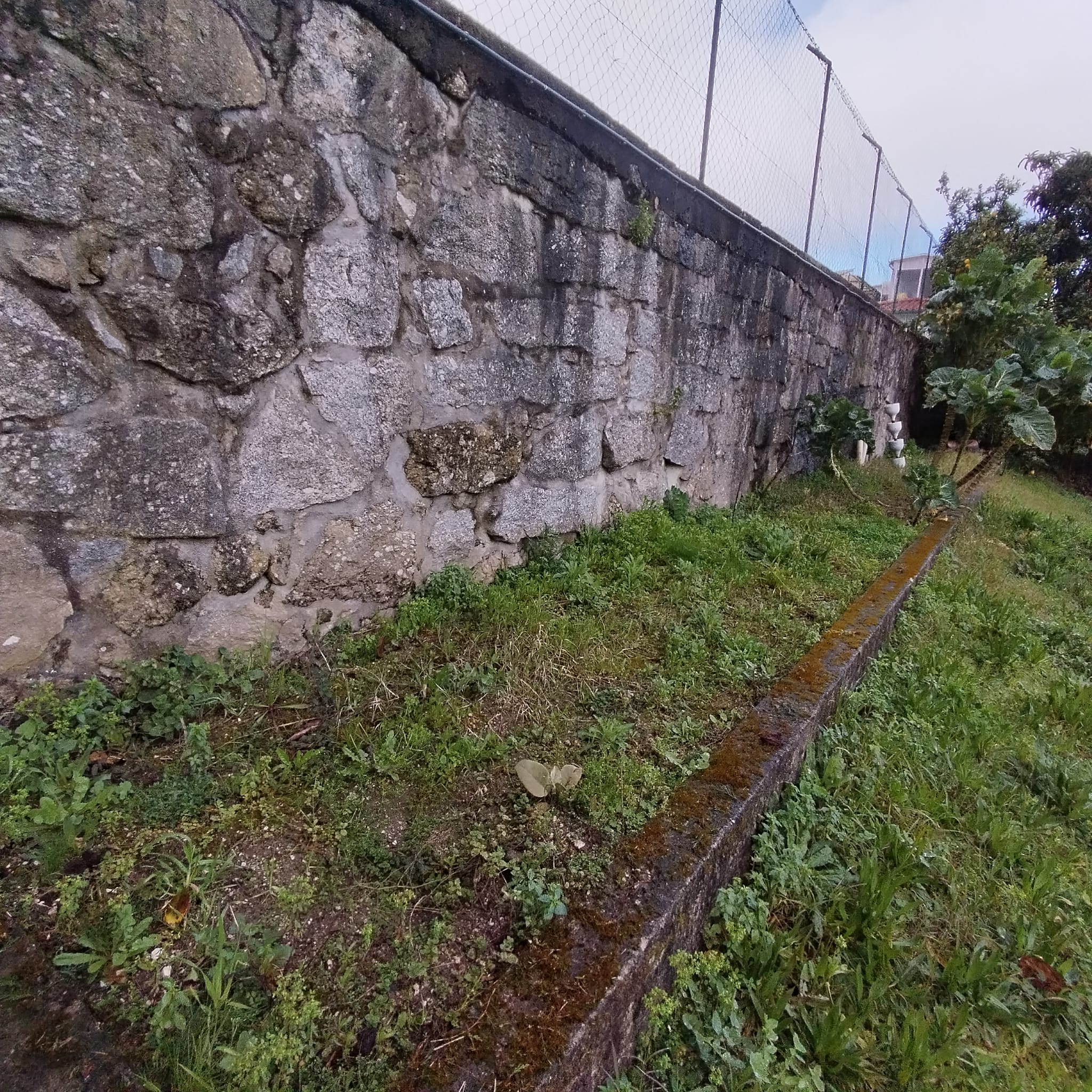 Estado inicial da horta