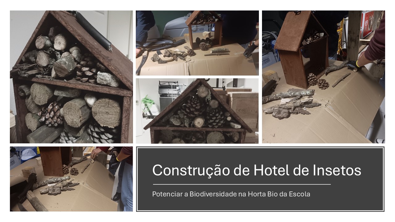 Construção Hotel de insetos