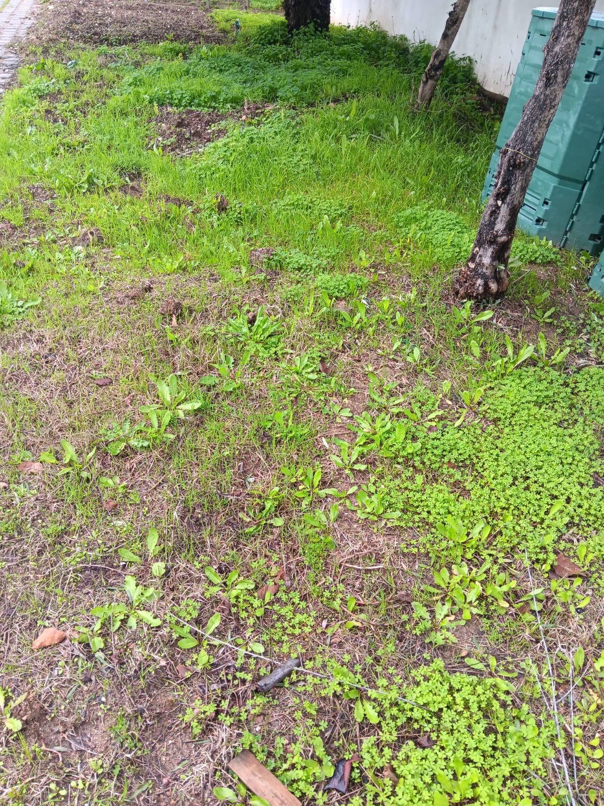 Solo saturado de água