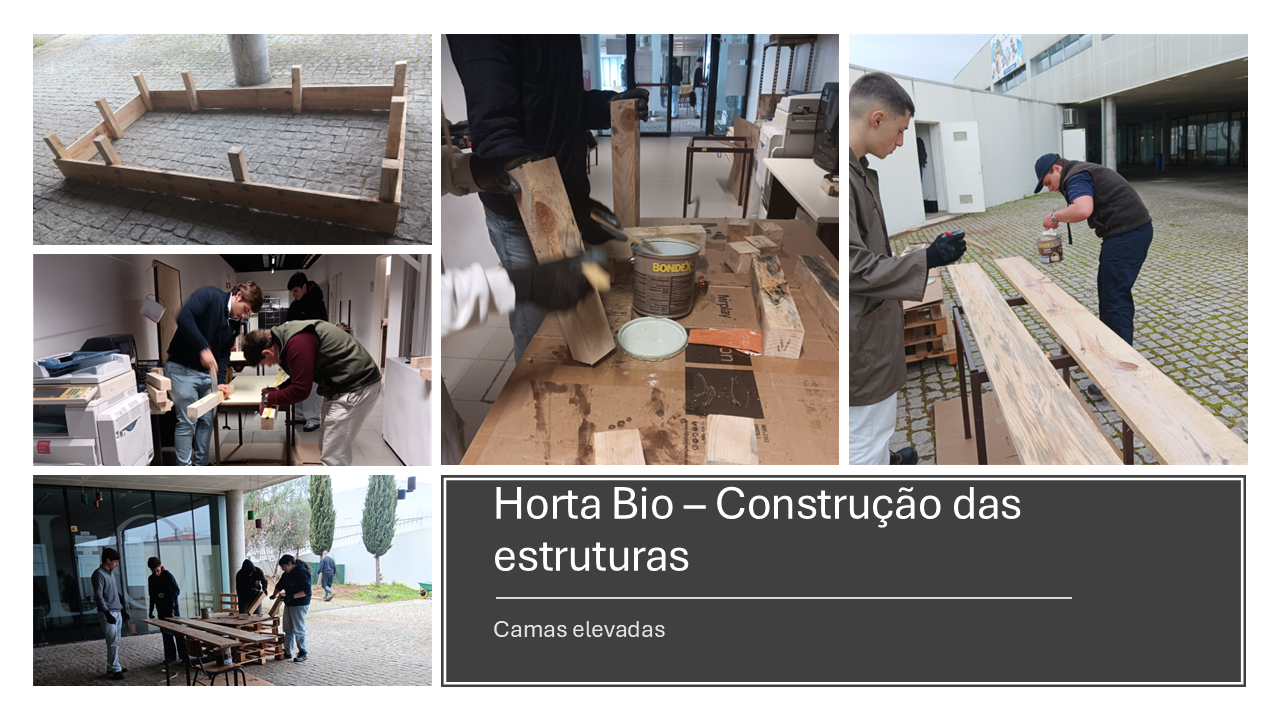 Camas elevadas