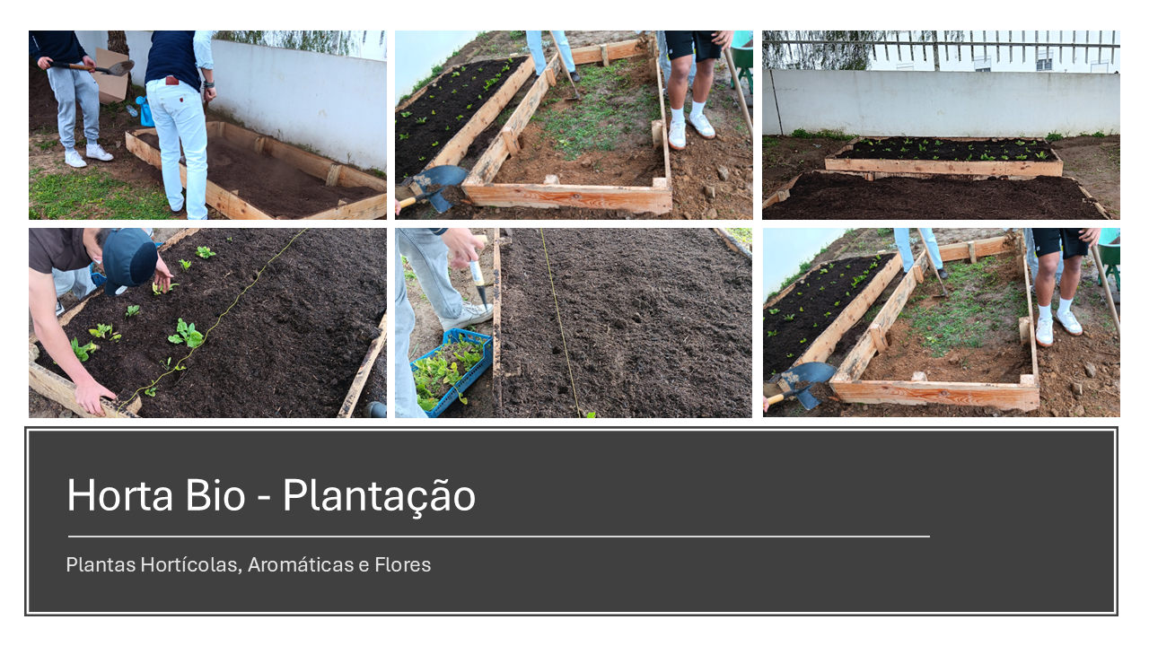 Sub plantação