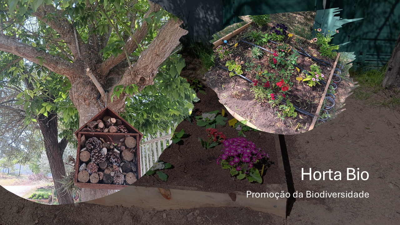 Promoção da biodiversidade