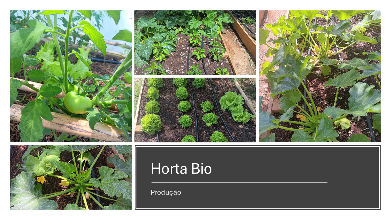 Produção