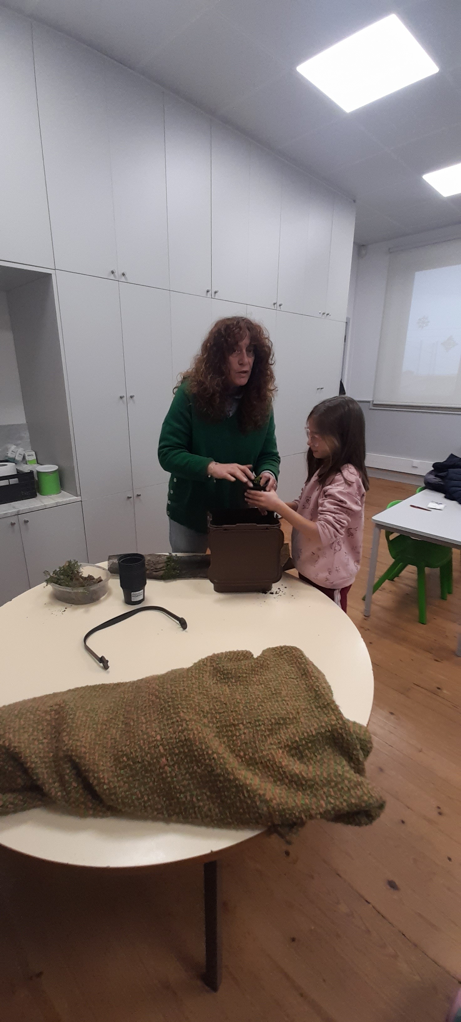 Aromáticas da Horta3