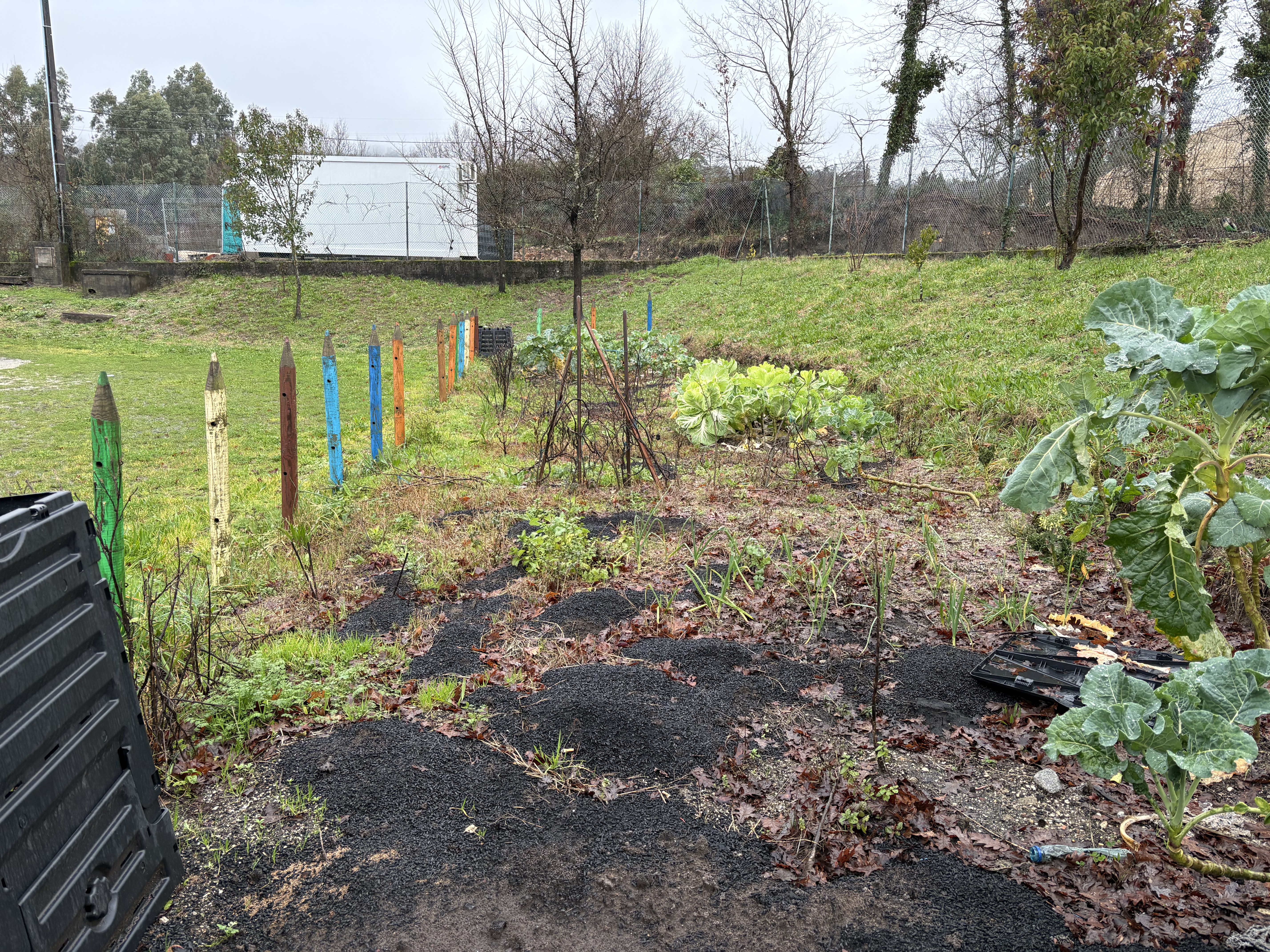 Vista geral da horta