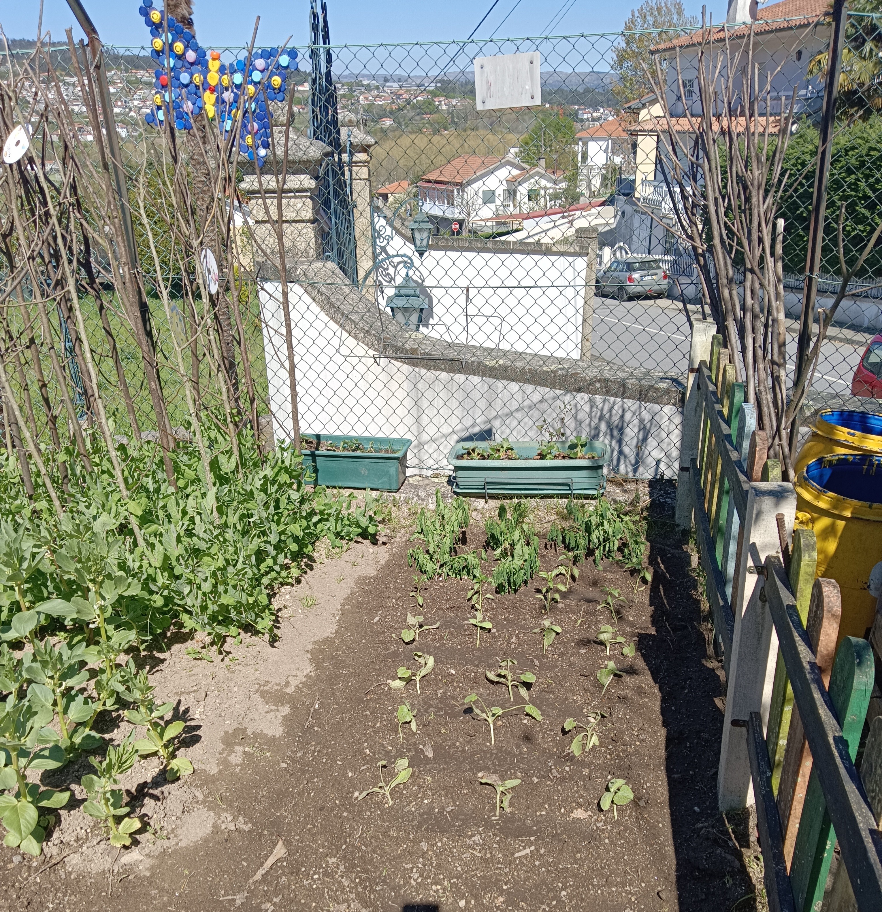 Vista das novas plantações (pepino, tomate, pimento e curgete).