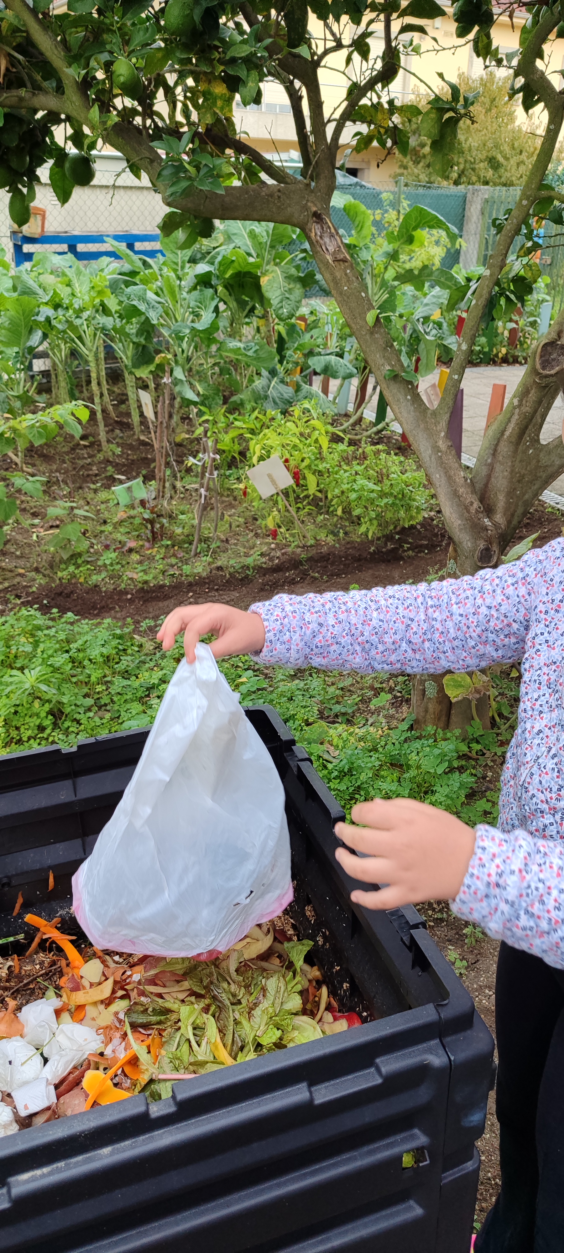 Gestão de um compostor na horta para produção de substrato