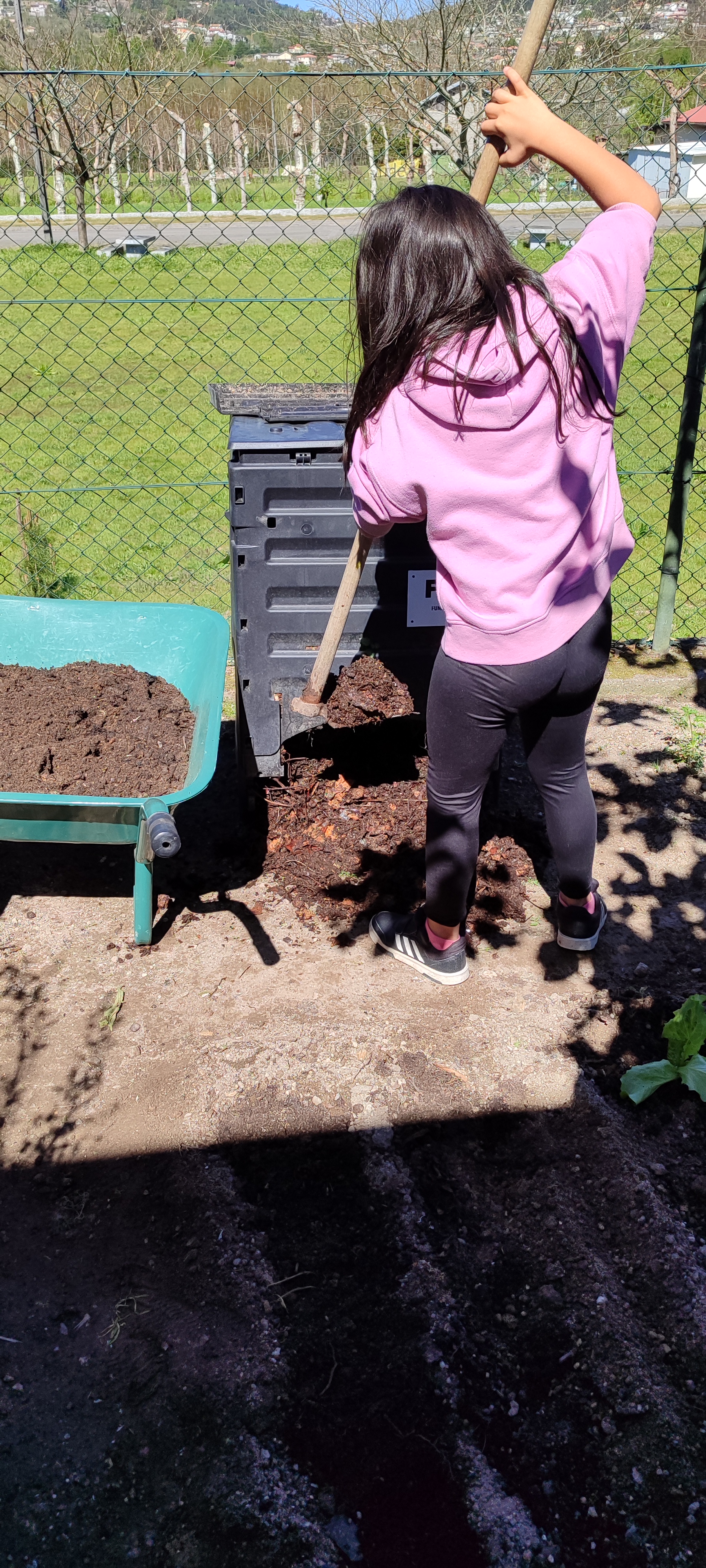 Recolha de substrato do compostor.