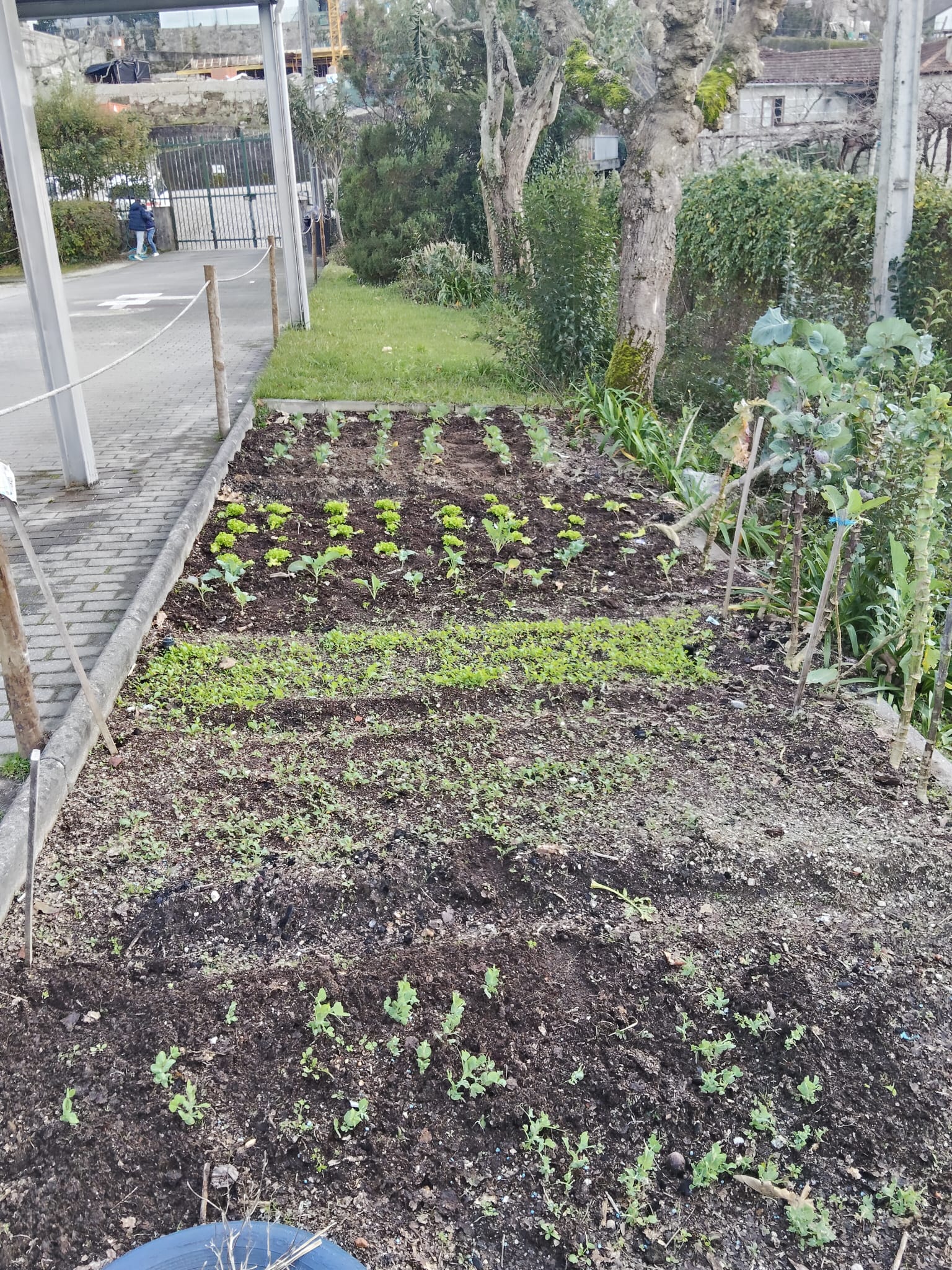 Vista geral da horta bio.
