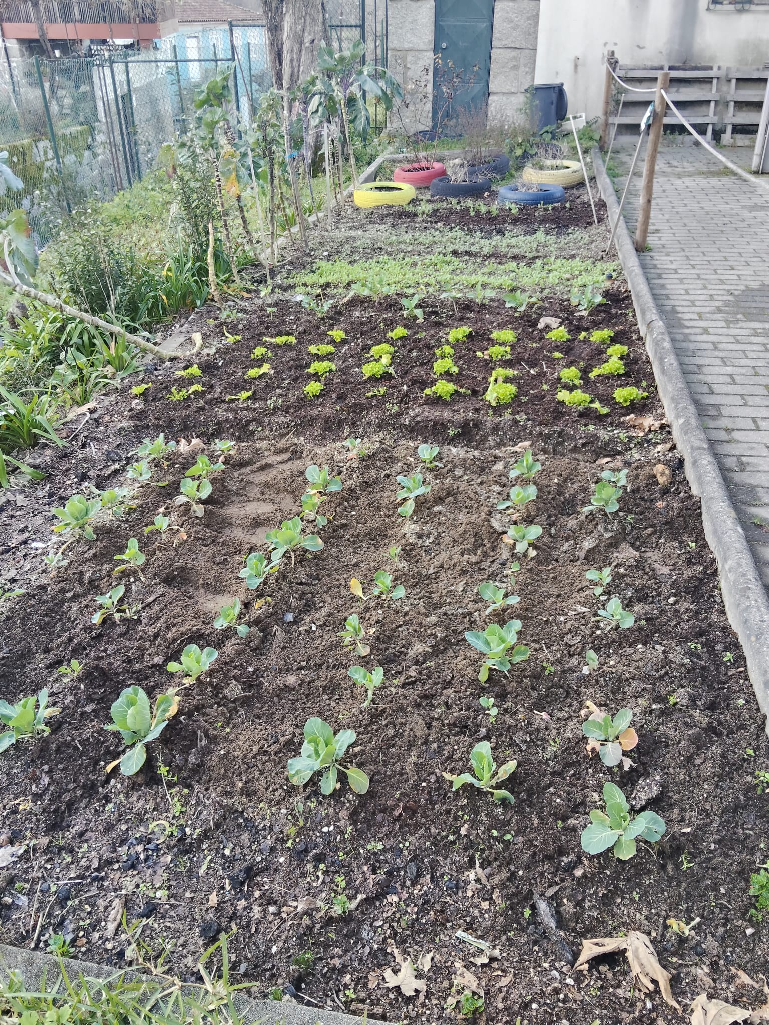Vista geral da horta - diferente perspetiva.