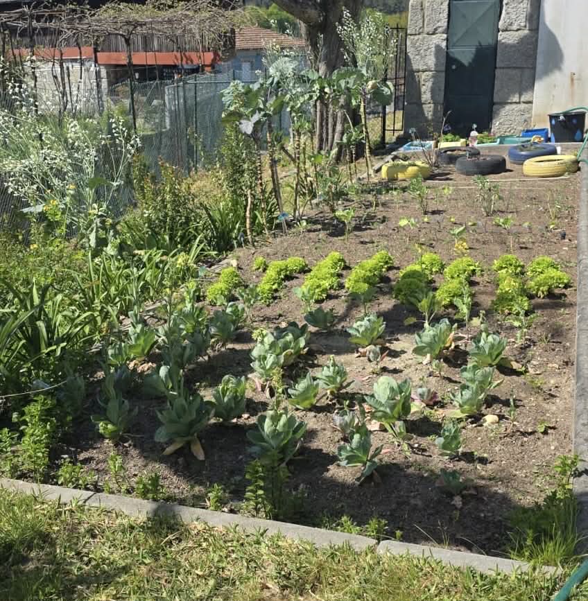 Vista geral da Horta