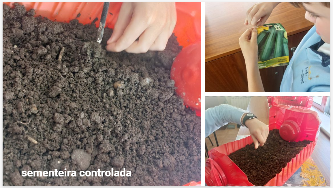 sementeira