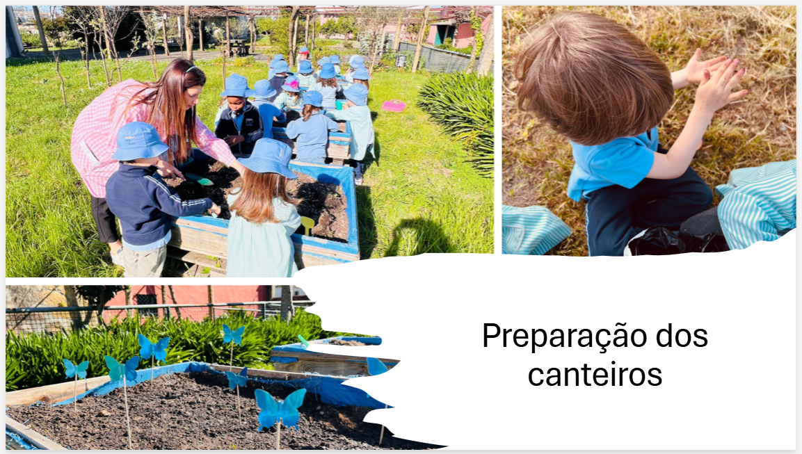 preparação dos canteiros
