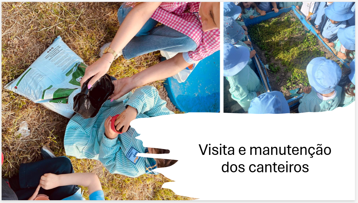 Manutenção