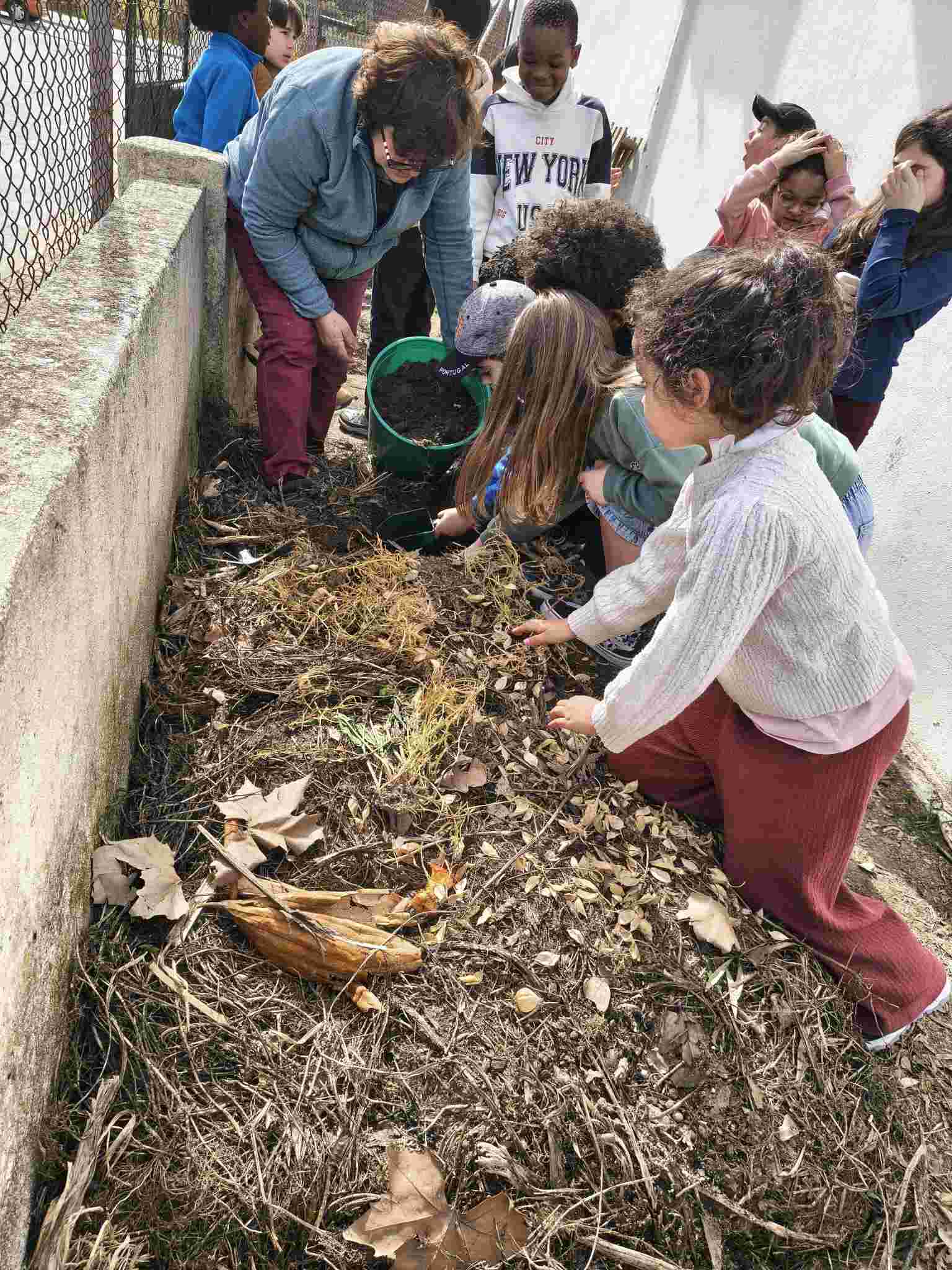 Alunos a ajudar a cuidar da pilha de compostagem e a retirar (e observar) algum composto para irem fertilizar a sua árvore de fruto (de quem são padrinhos).