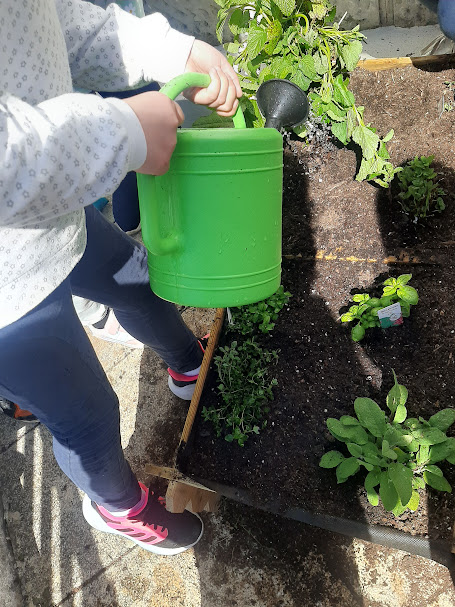 De seguida regaram as plantas com cuidado.