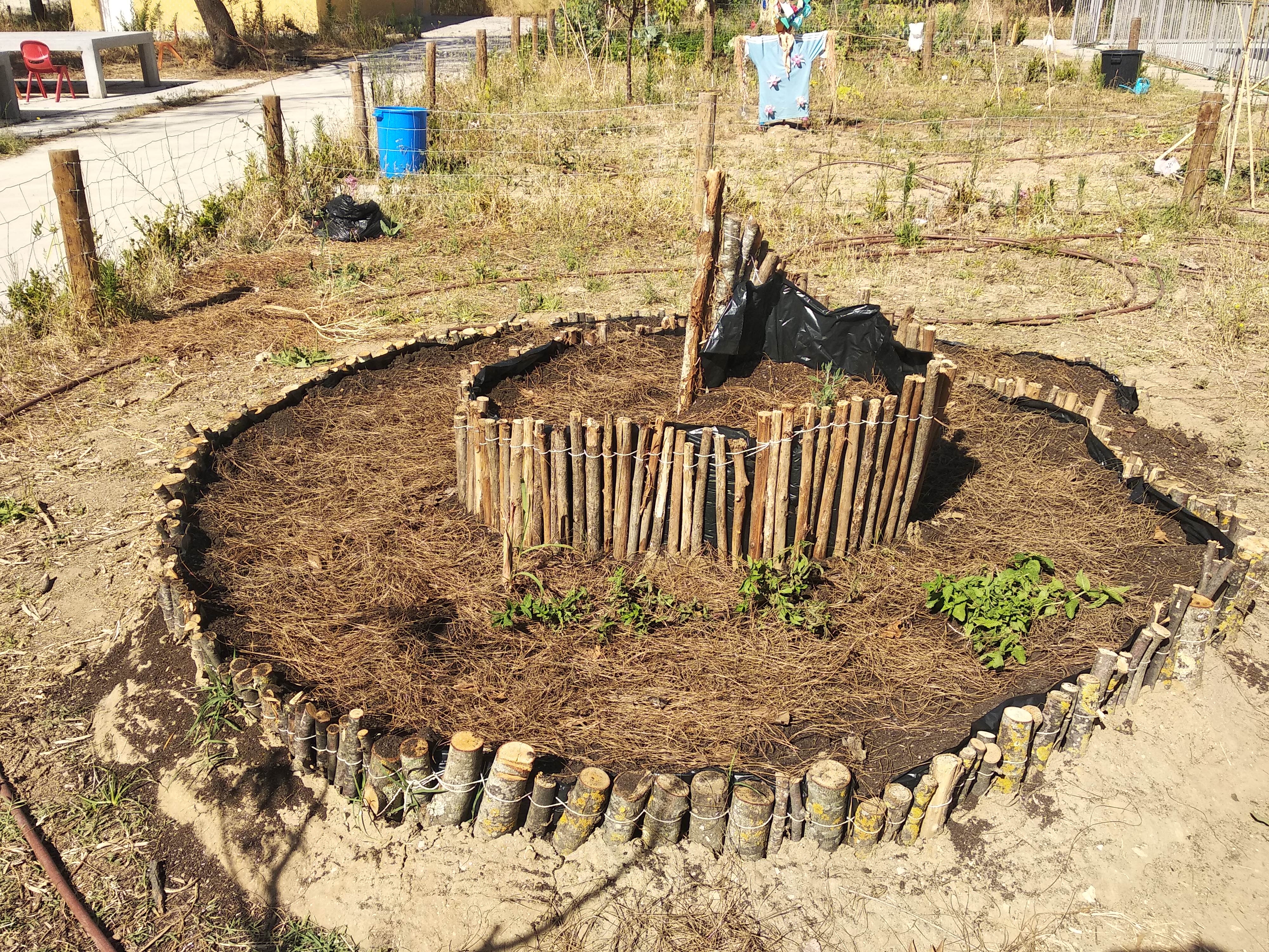 A espiral de ervas aromáticas, do 3ºano.