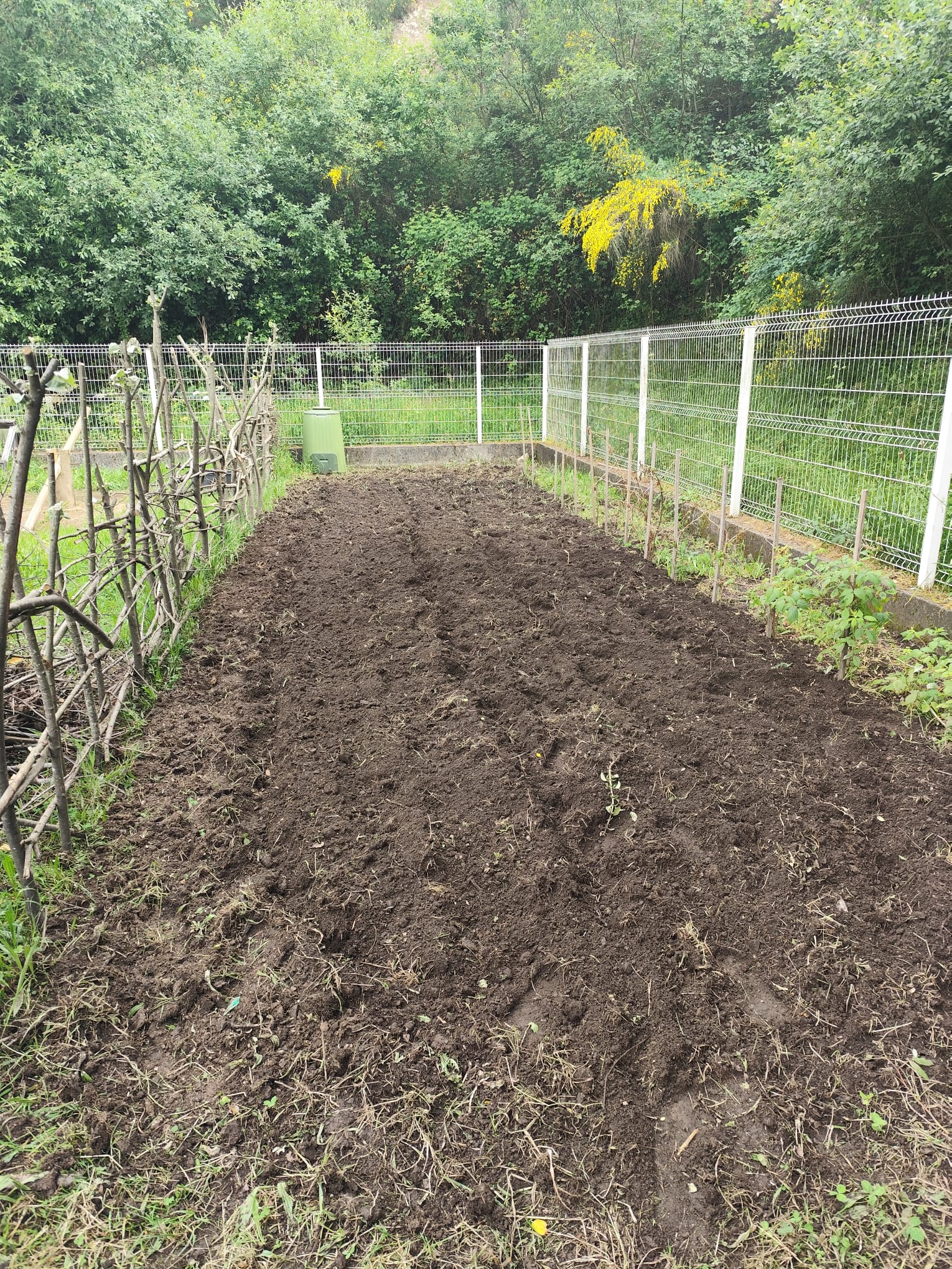 Terreno preparado