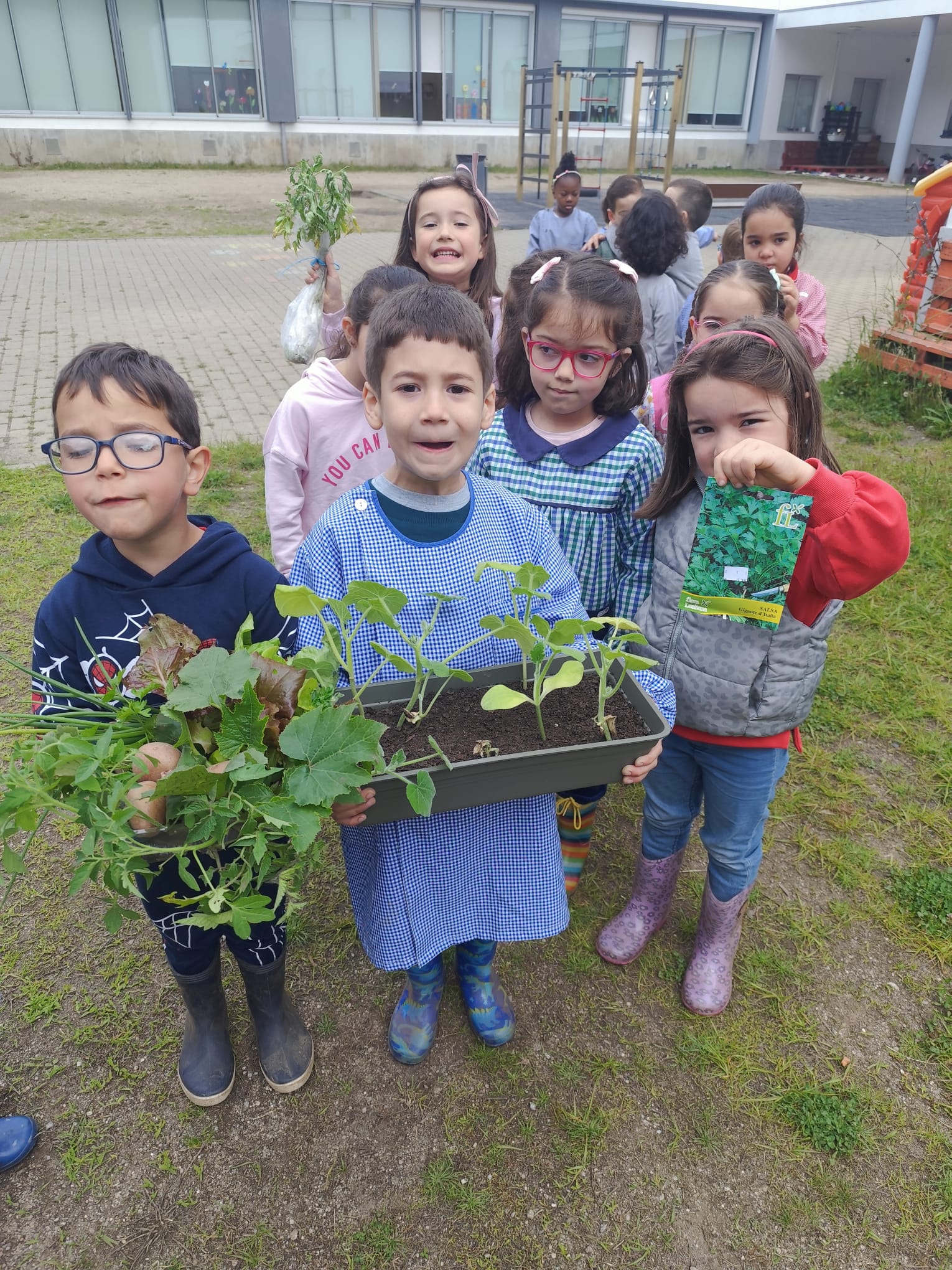 Plantas para transplantar