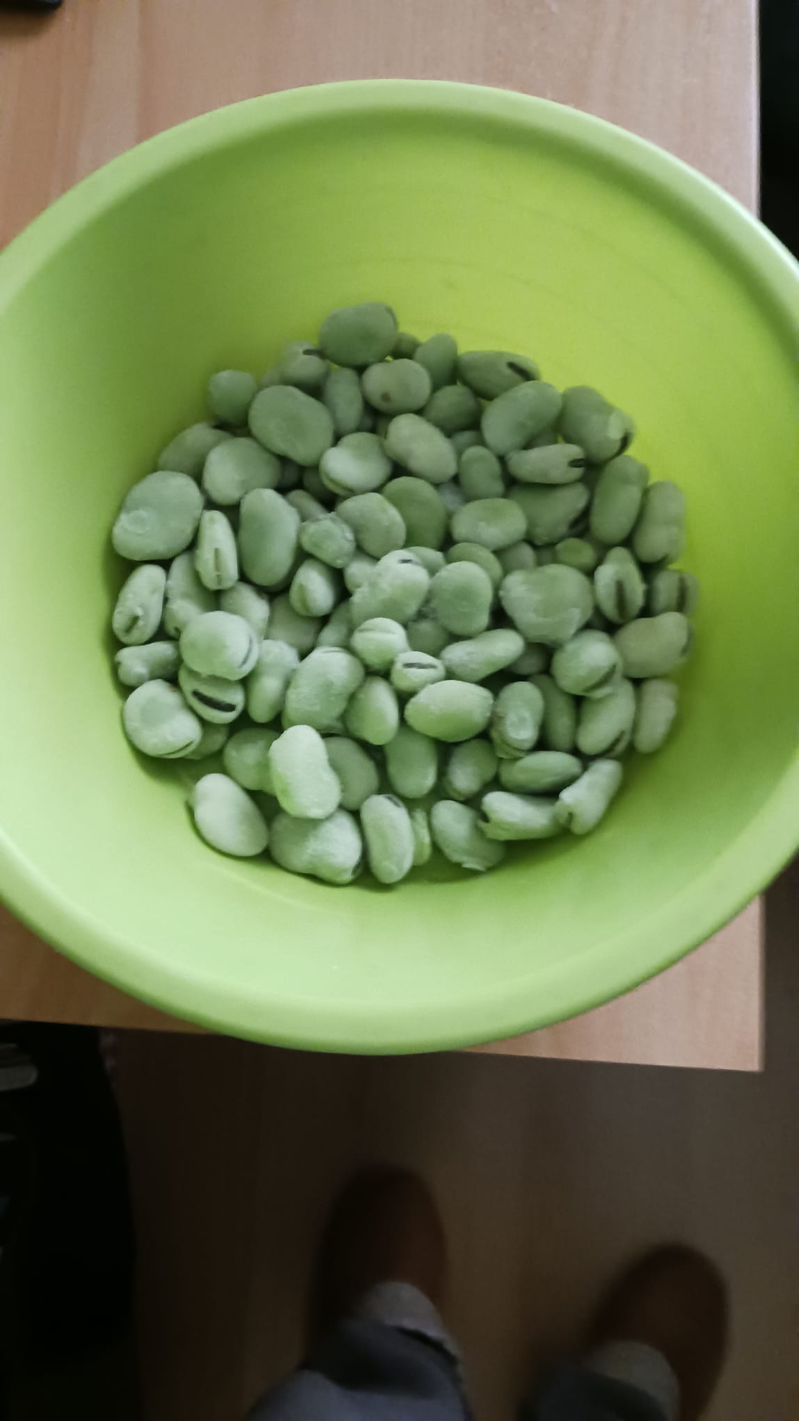Sementeira de favas em outubro de 2025 e recolha de favas para comer na cantina.
6 metros de comprimento.