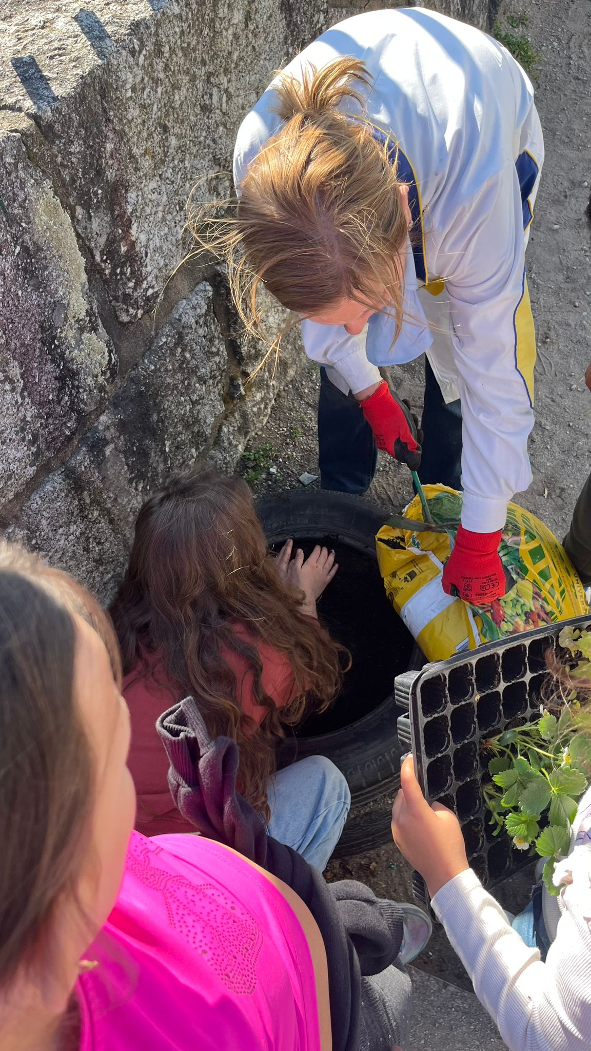 Plantar morangueiros em março. Recolha e degustação pelos alunos em abril.
Foram plantados em 8 pneus.