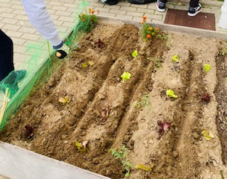 Em Março, chove cada dia um pedaço.

"Na horta pedagógica da escola, temos vindo a desenvolver diversas atividades que promovem o contacto direto com a natureza e a aprendizagem prática.