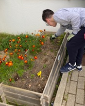 Este projeto tem permitido aos alunos adquirir conhecimentos sobre agricultura sustentável, responsabilidade ambiental e trabalho em equipa."