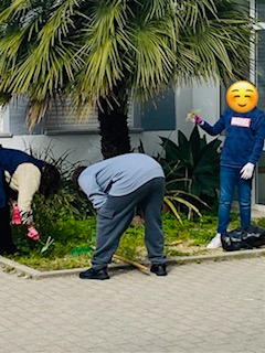 Em Março realizamos a plantação de alfaces, tomates cherry, acelgas, ervilhas e alho-francês, acompanhando o seu crescimento com cuidado e dedicação.