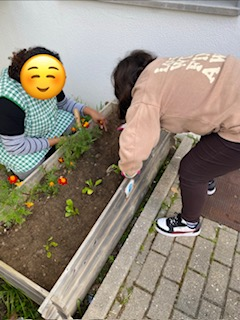 A partir de agora vamos iniciar um almanaque com as nossas atividades mensais.