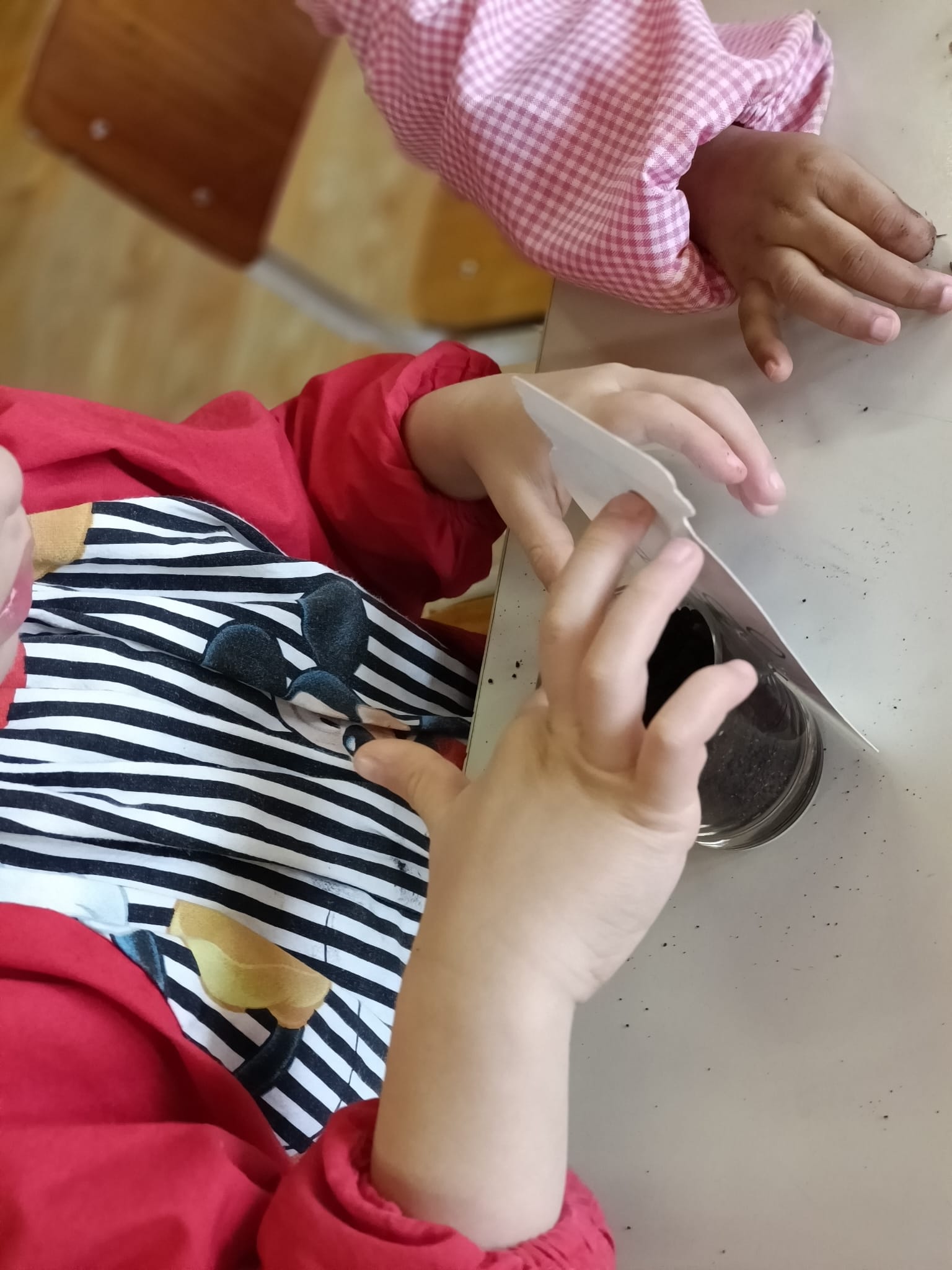 Plantação ervas aromáticas