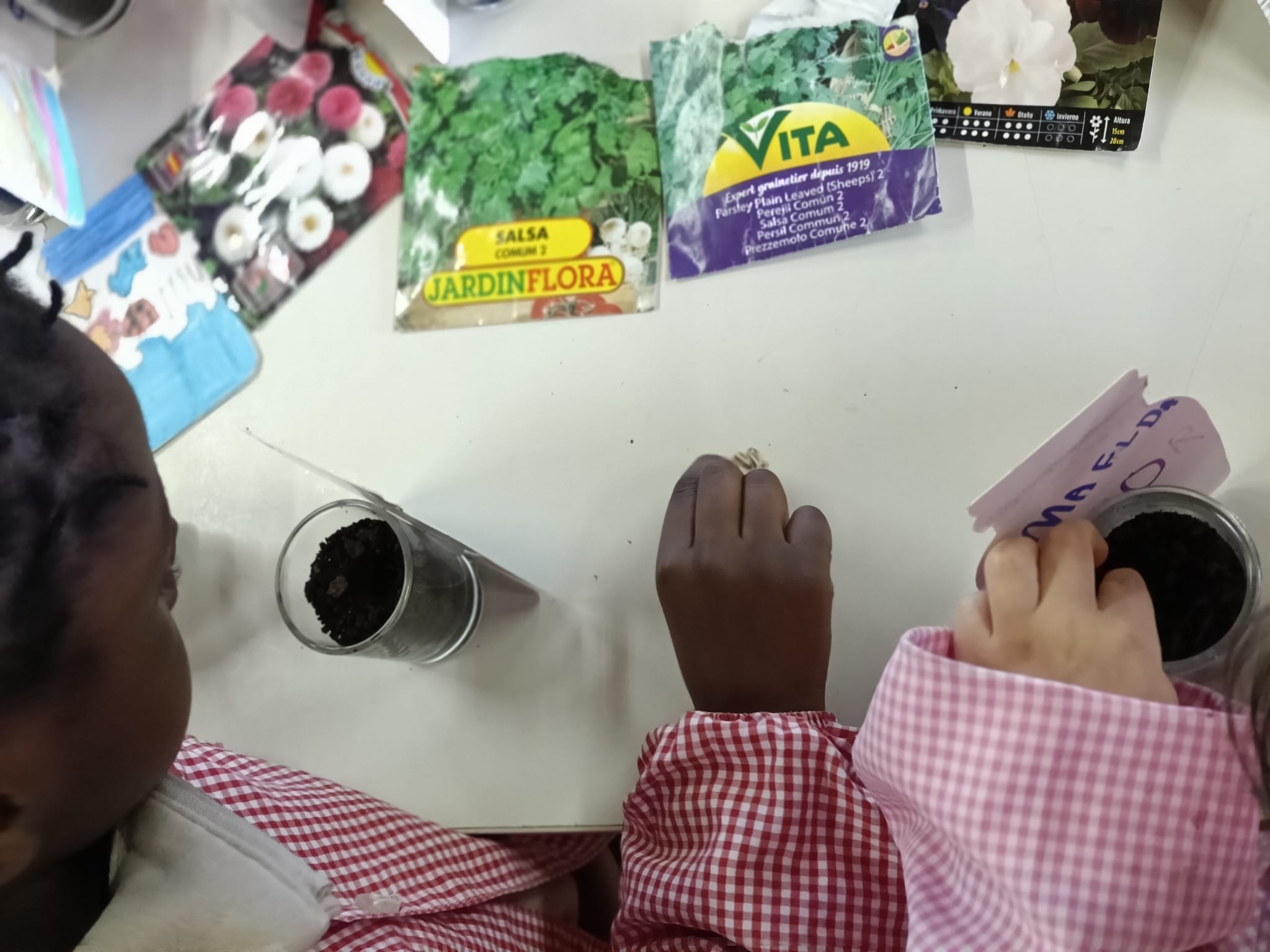 Plantação ervas aromáticas e flores